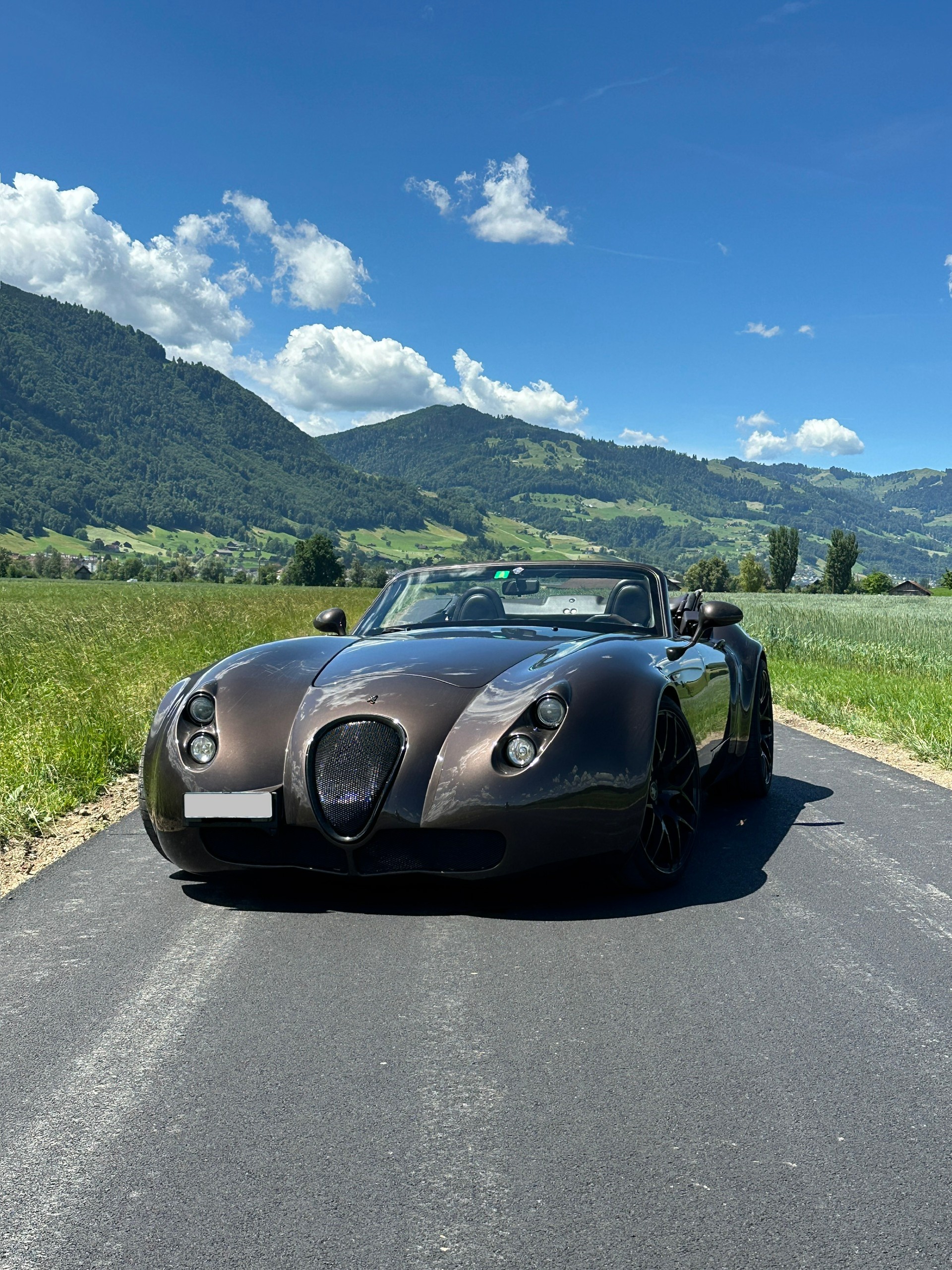 WIESMANN MF4-T-image-0