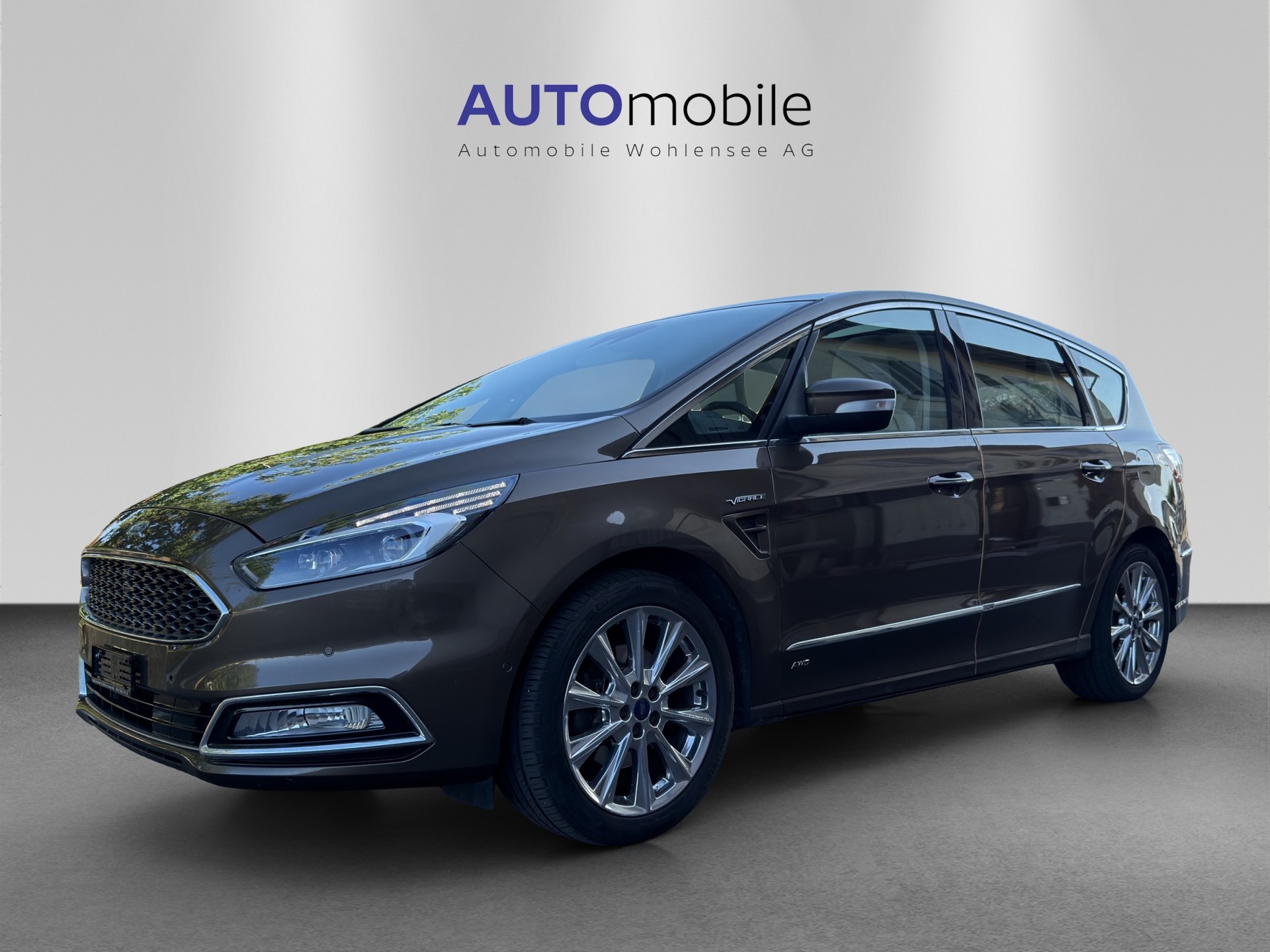 FORD S-Max 2.0 TDCi Vignale AWD PowerShift-showroom-element-1