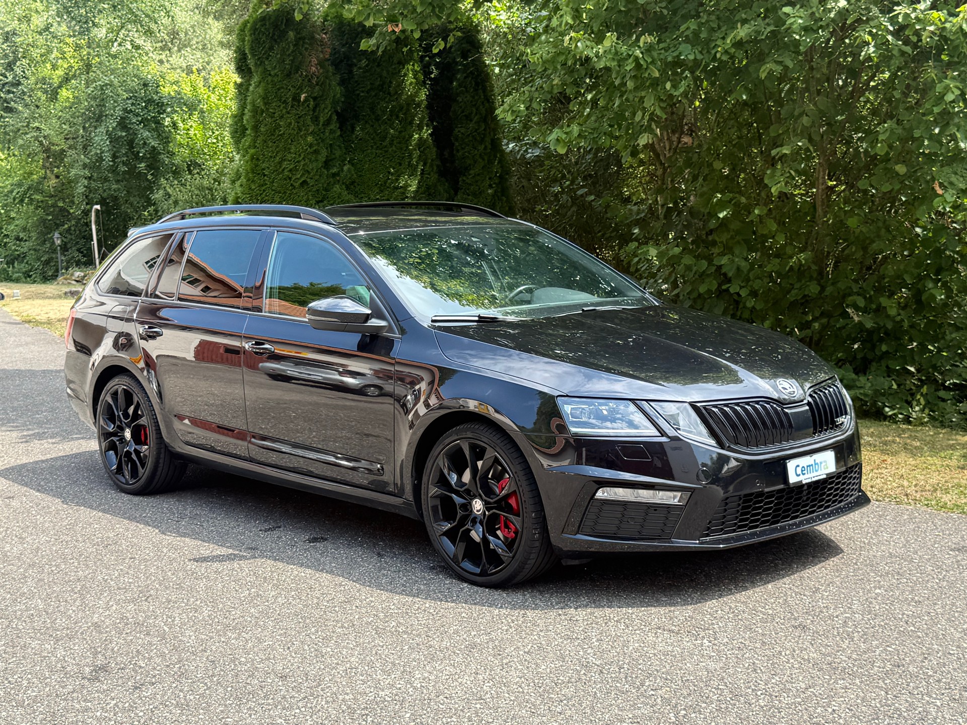 SKODA Octavia Combi 2.0 TSI RS Final Edition DSG-image-4