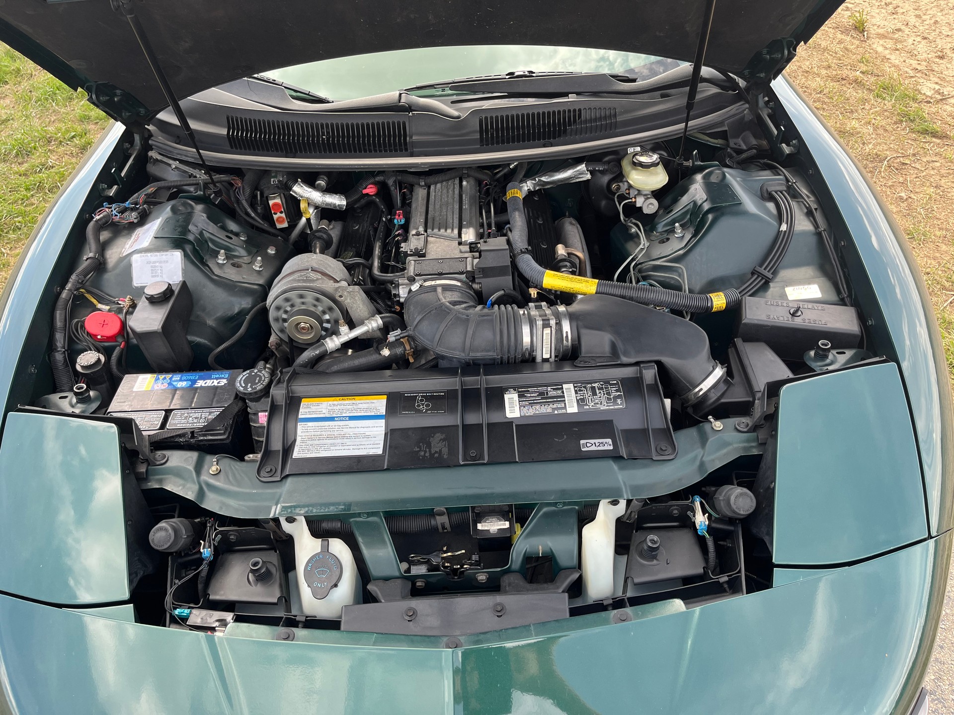 PONTIAC 5.7 V8 Trans Am-image-5