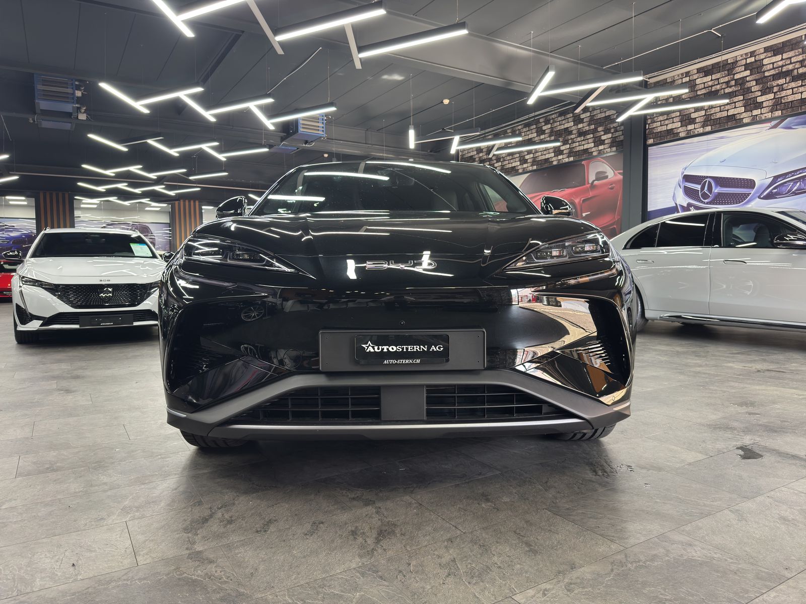 BYD Sealion 7 91,3 kWh Excellence AWD-image-1