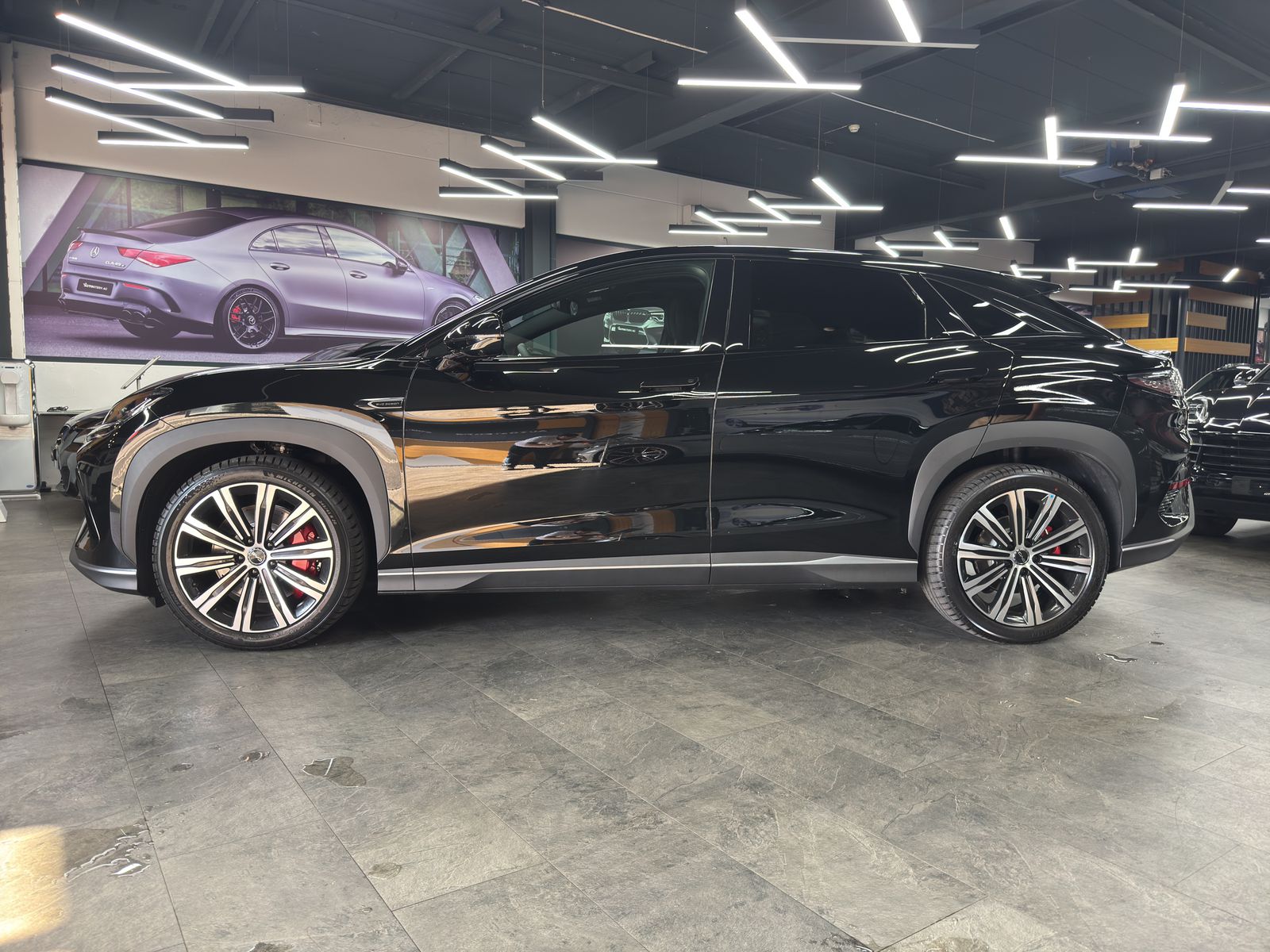 BYD Sealion 7 91,3 kWh Excellence AWD-image-7