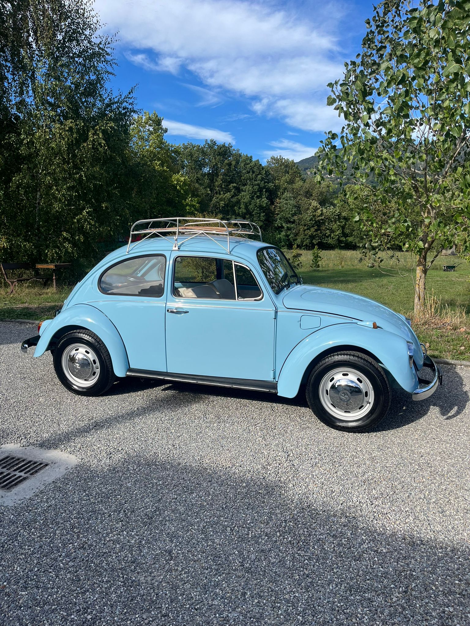 VW Käfer-image-2