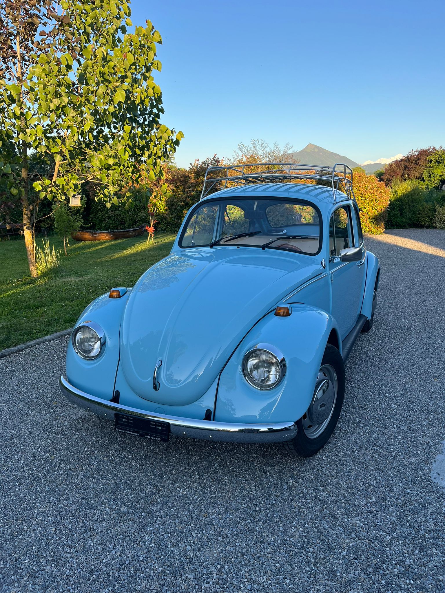 VW Käfer-image-0
