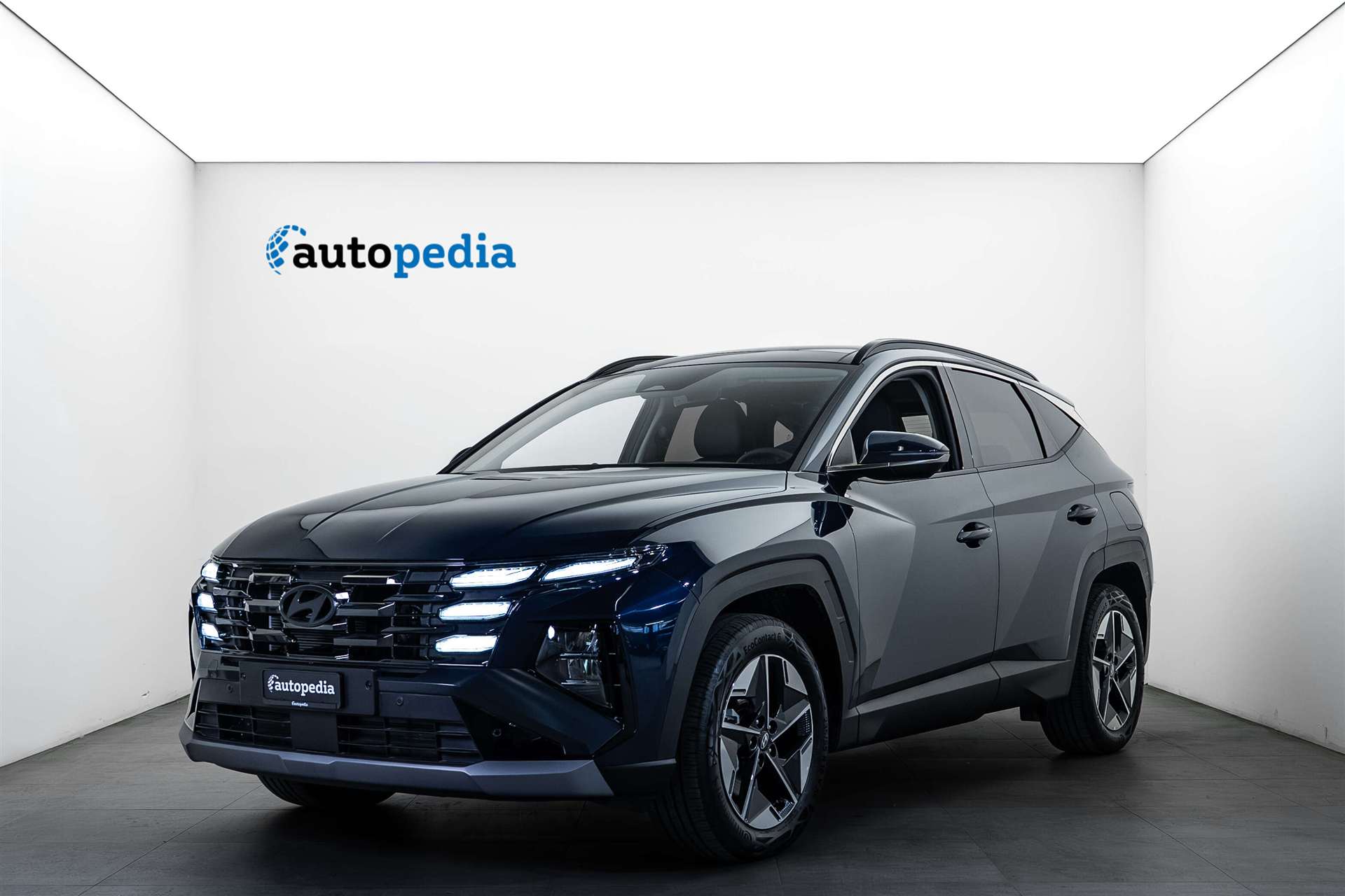 HYUNDAI Tucson 1.6 TGDi PHEV 252PS Techno Sky 4WD Automat