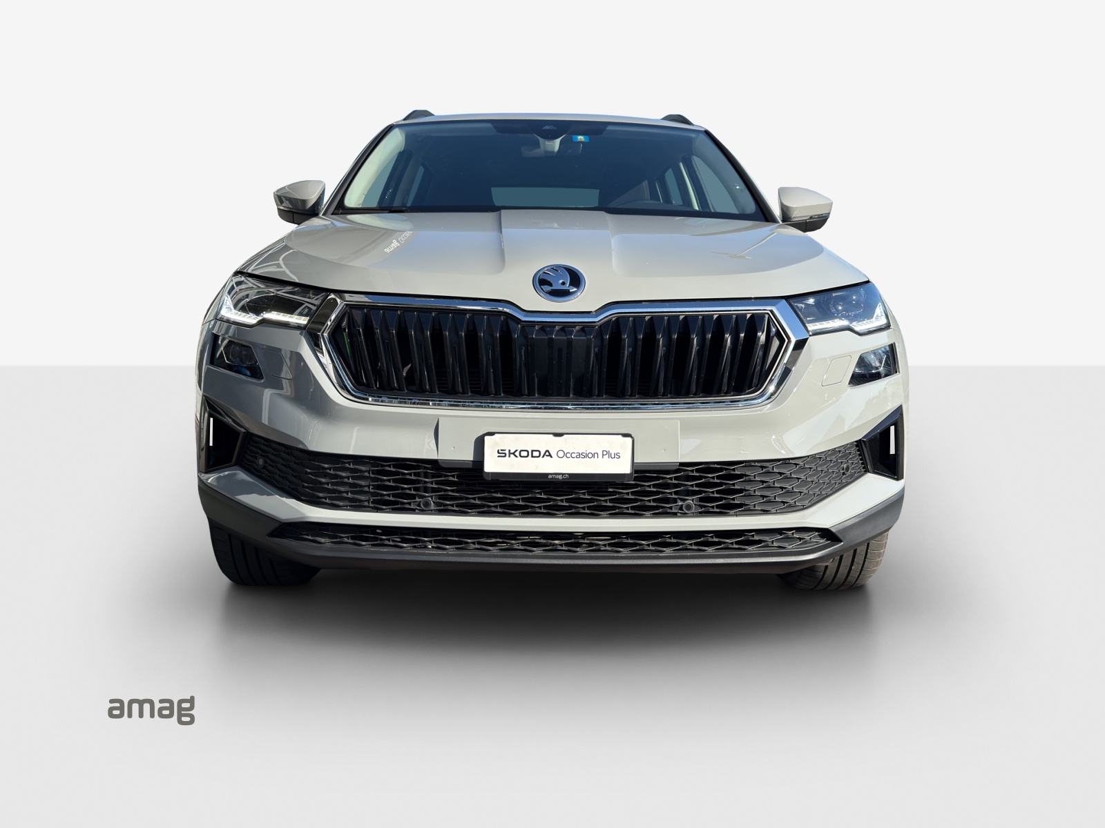 SKODA Karoq 1.5 TSI Style DSG-image-6