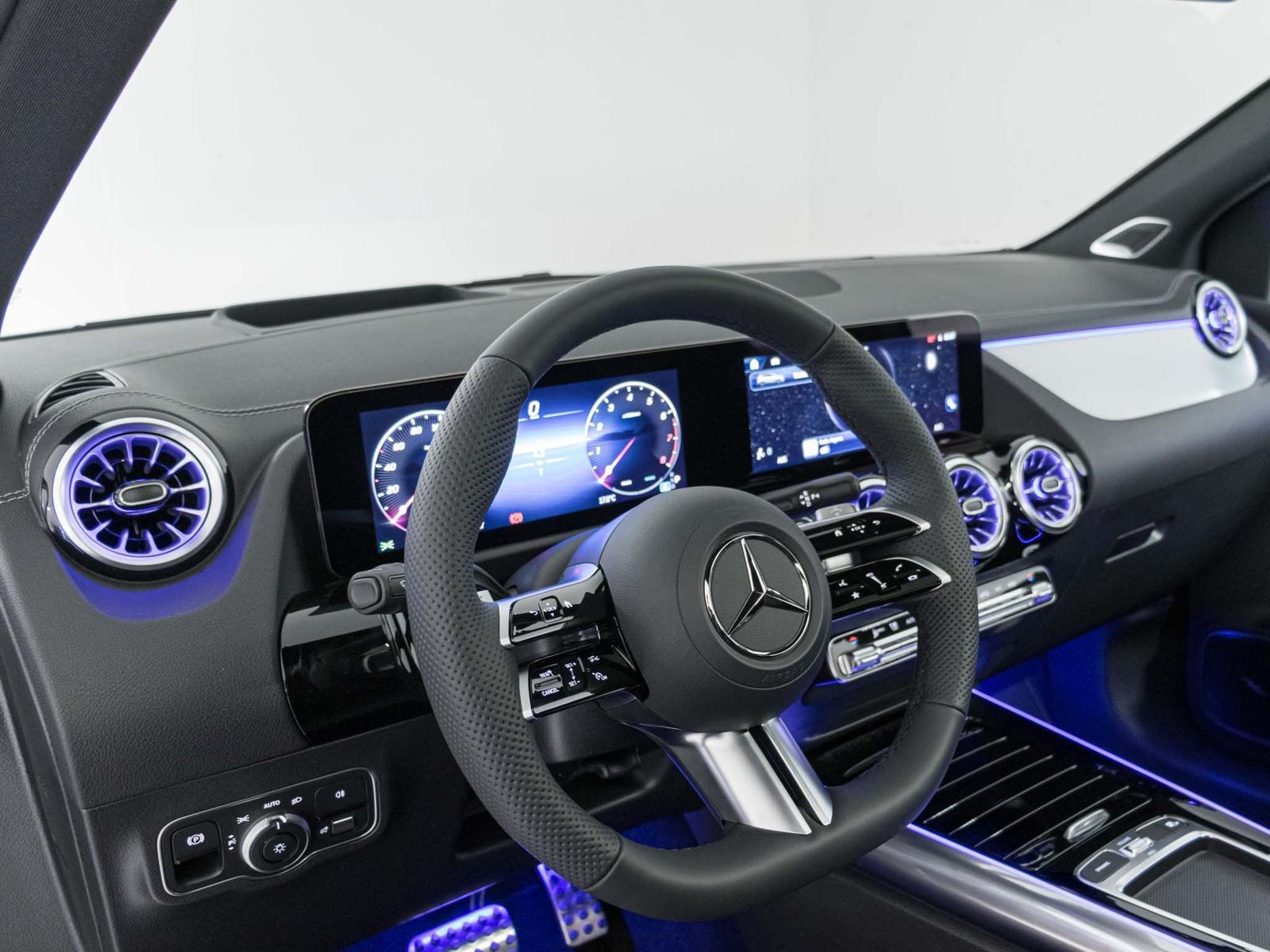 MERCEDES-BENZ B 250 4MATIC-image-10