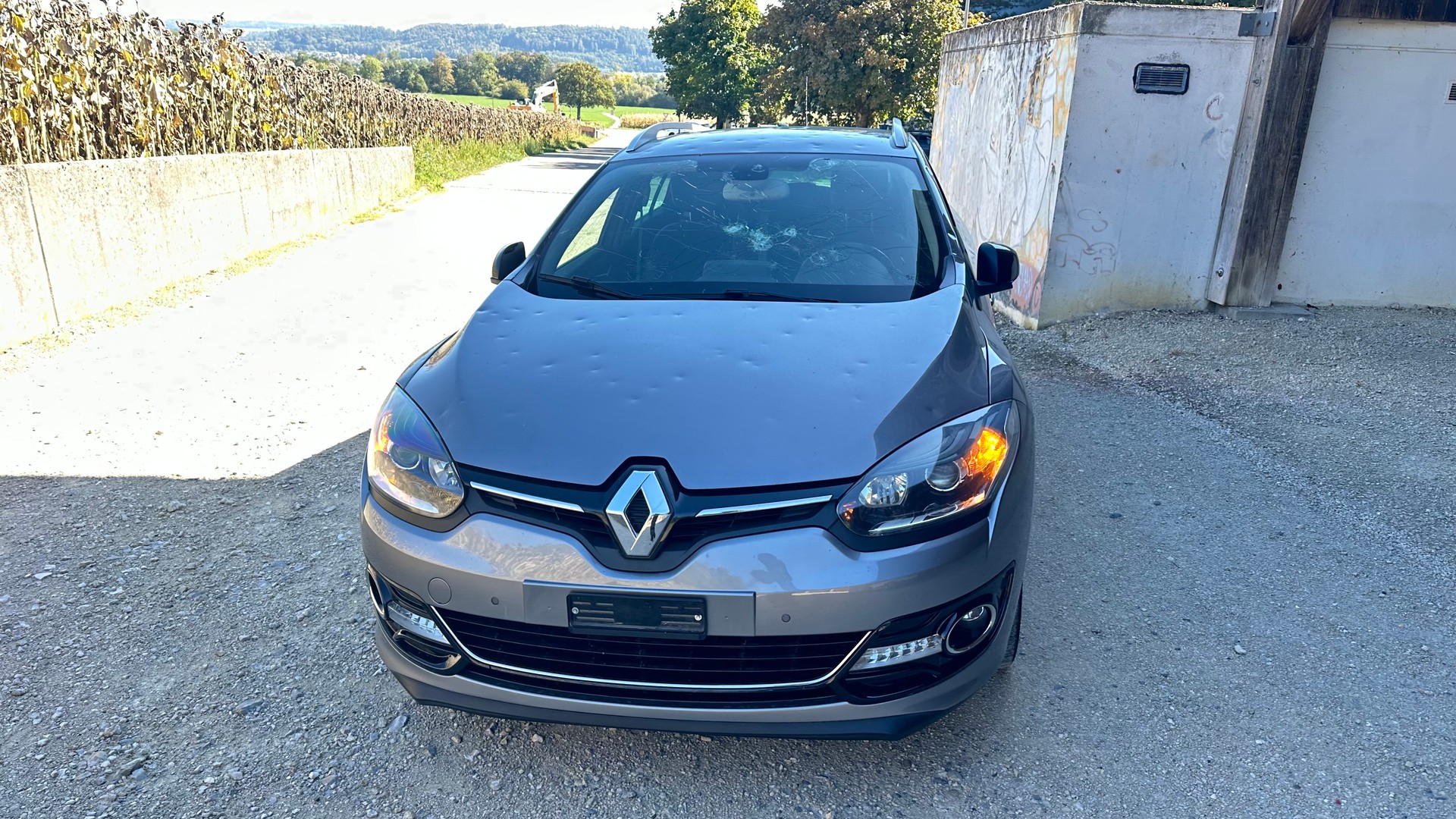 RENAULT Mégane Coupé 1.2 16V Turbo Bose-image-2