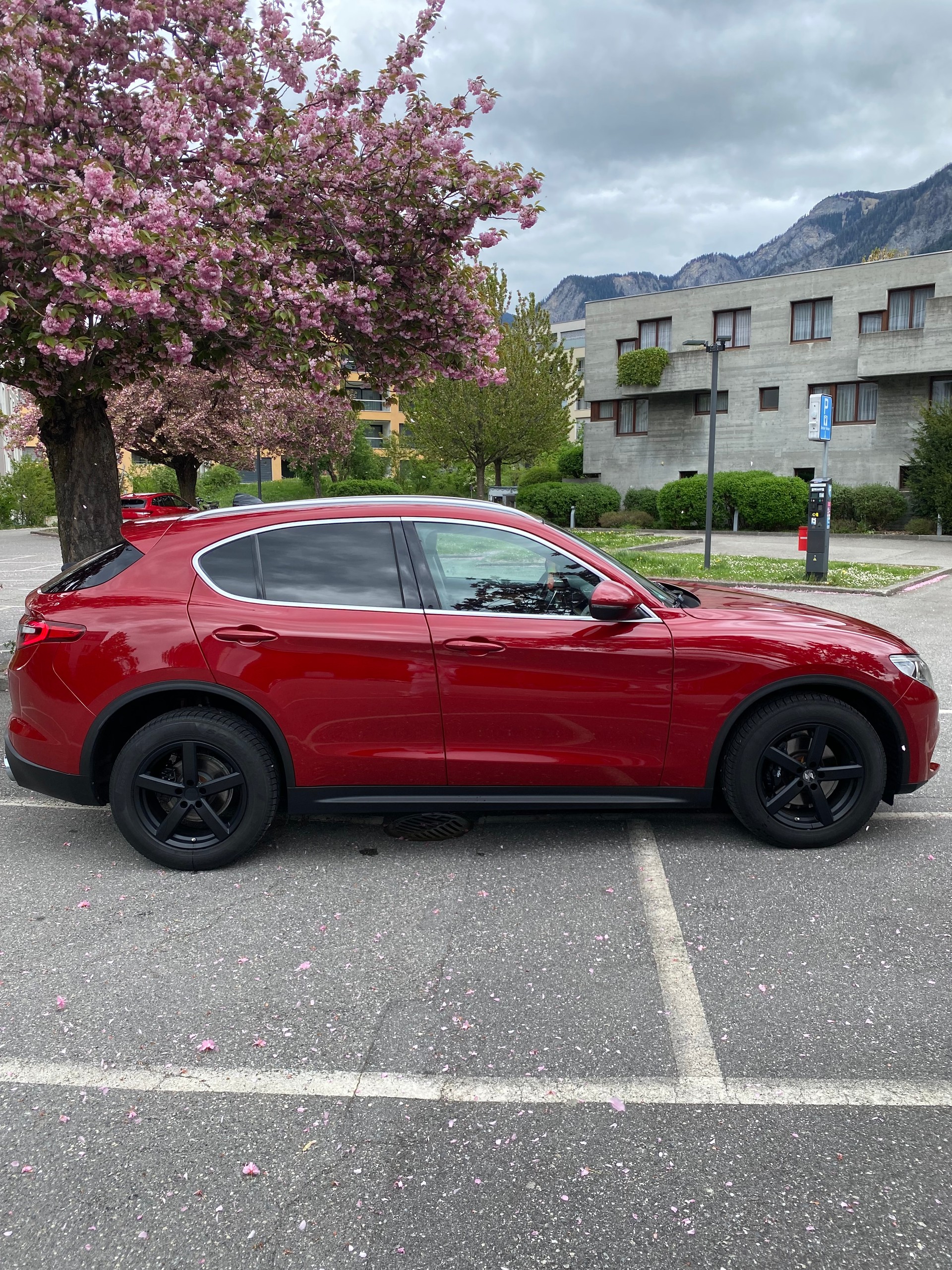 ALFA ROMEO Stelvio 2.2 JTDM Executive Q4 Automatic-image-3