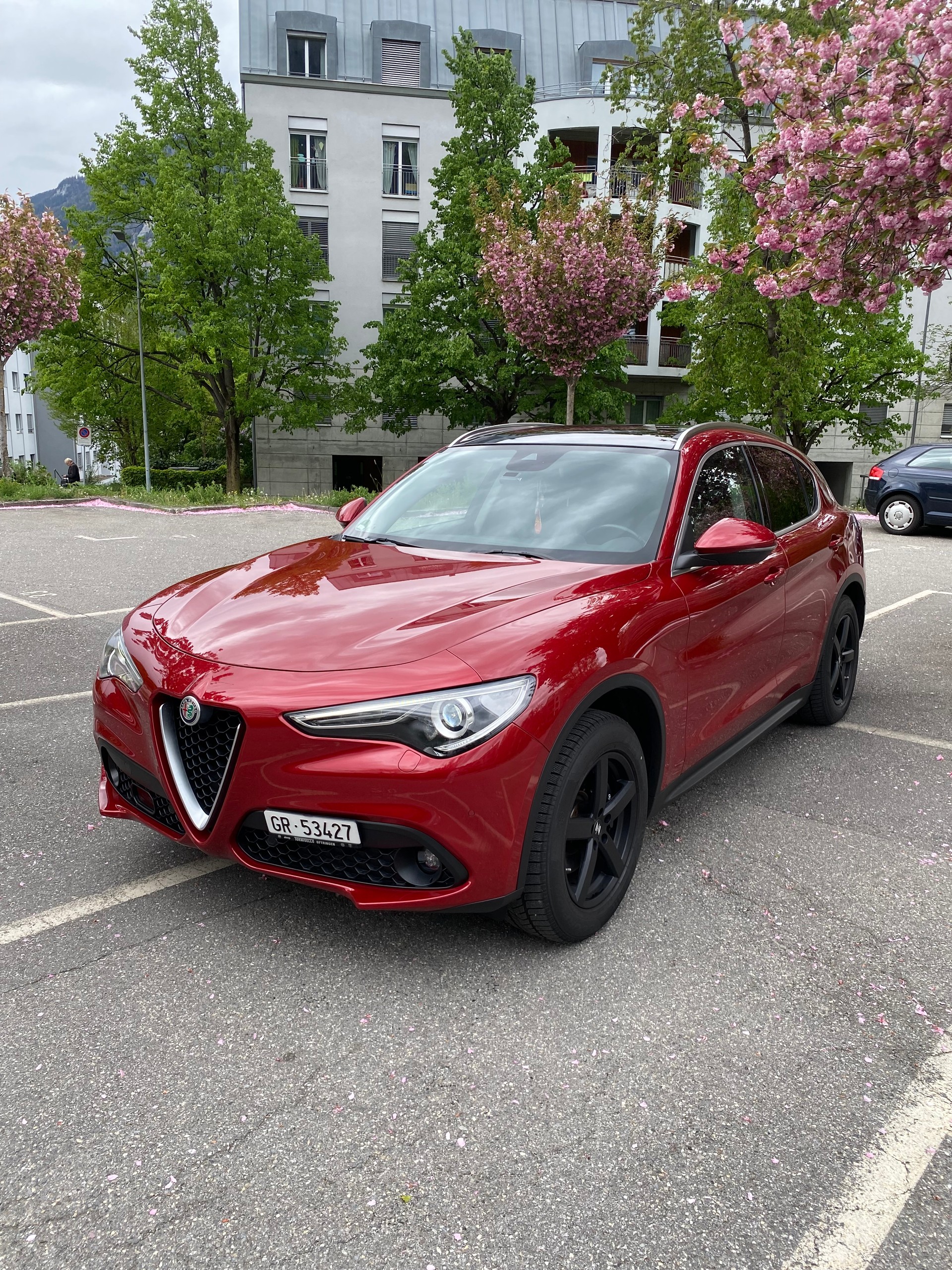 ALFA ROMEO Stelvio 2.2 JTDM Executive Q4 Automatic-image-2