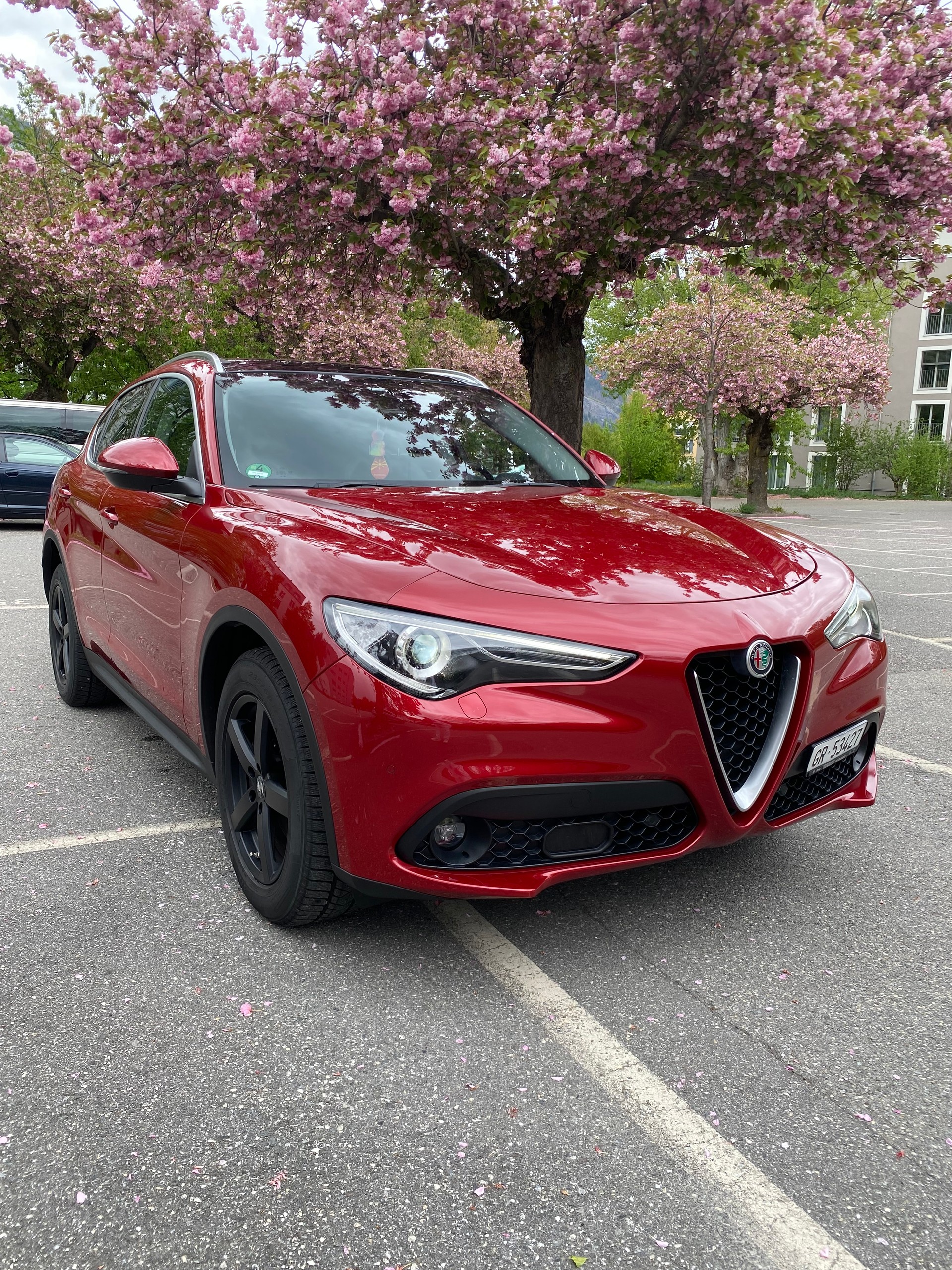 ALFA ROMEO Stelvio 2.2 JTDM Executive Q4 Automatic-image-0