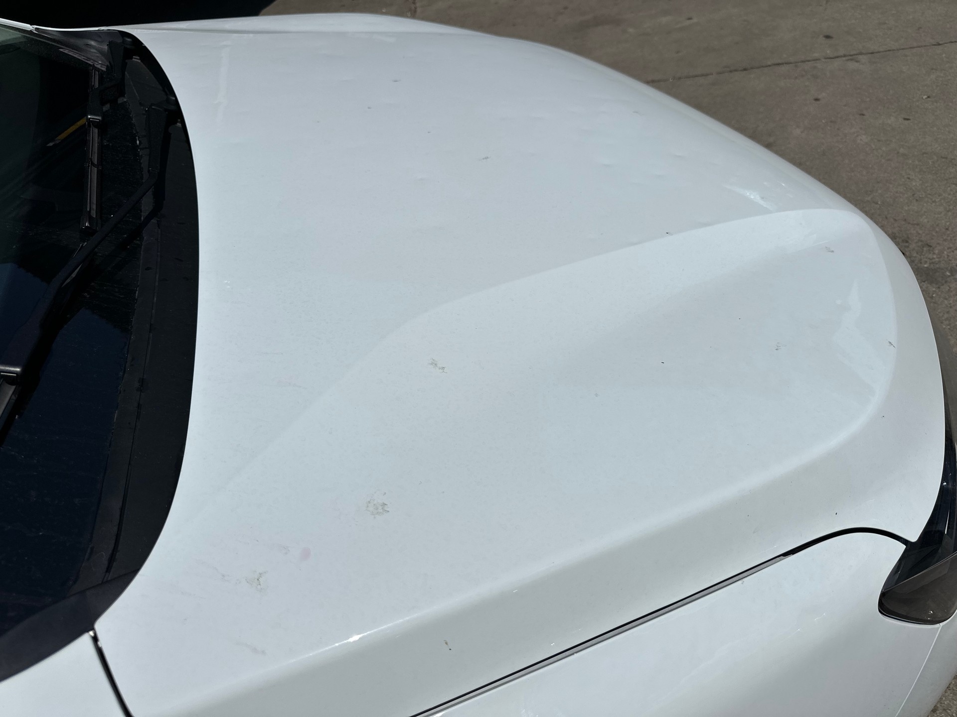 DACIA Sandero TCe 100 Expression-image-9