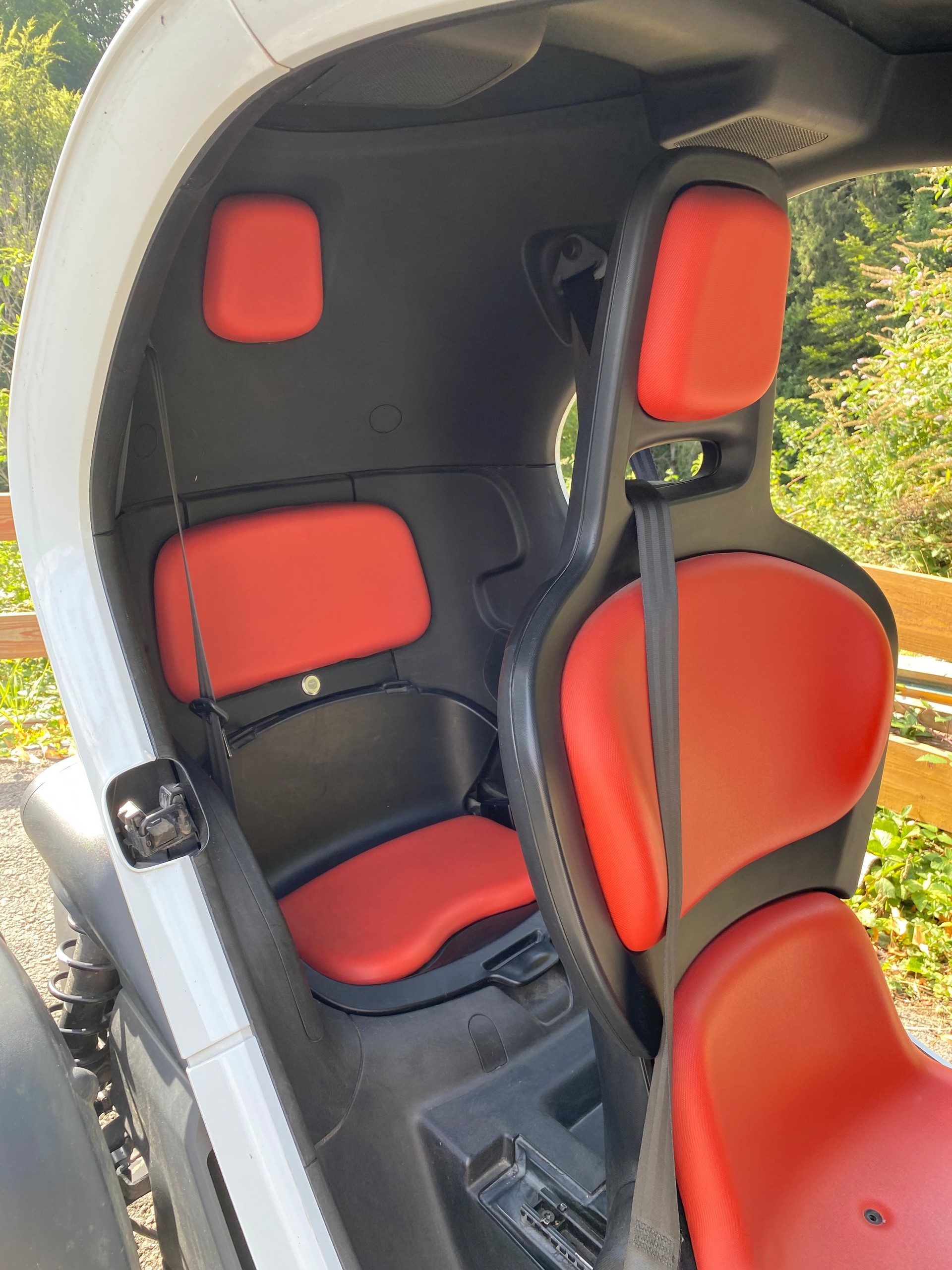 RENAULT Color-image-3