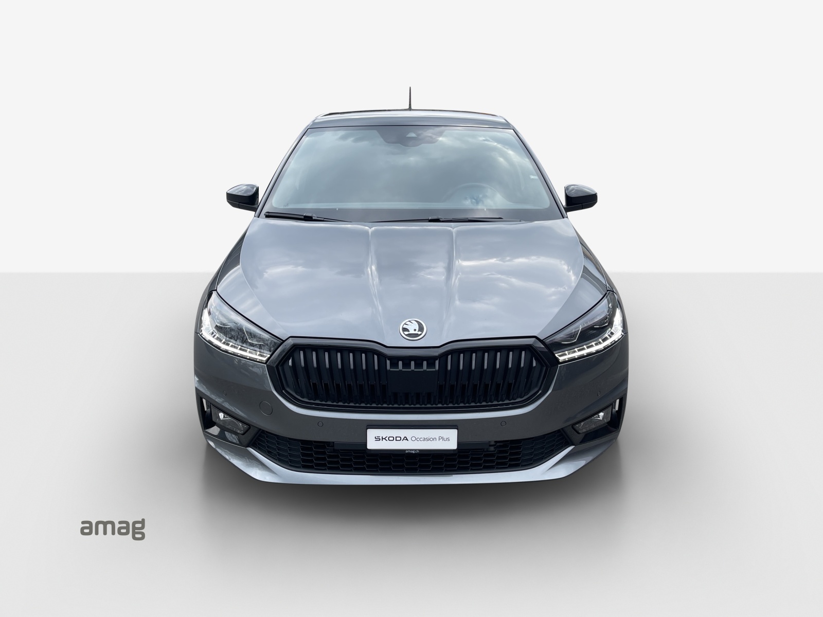 SKODA Fabia 1.0 TSI Selection-image-6