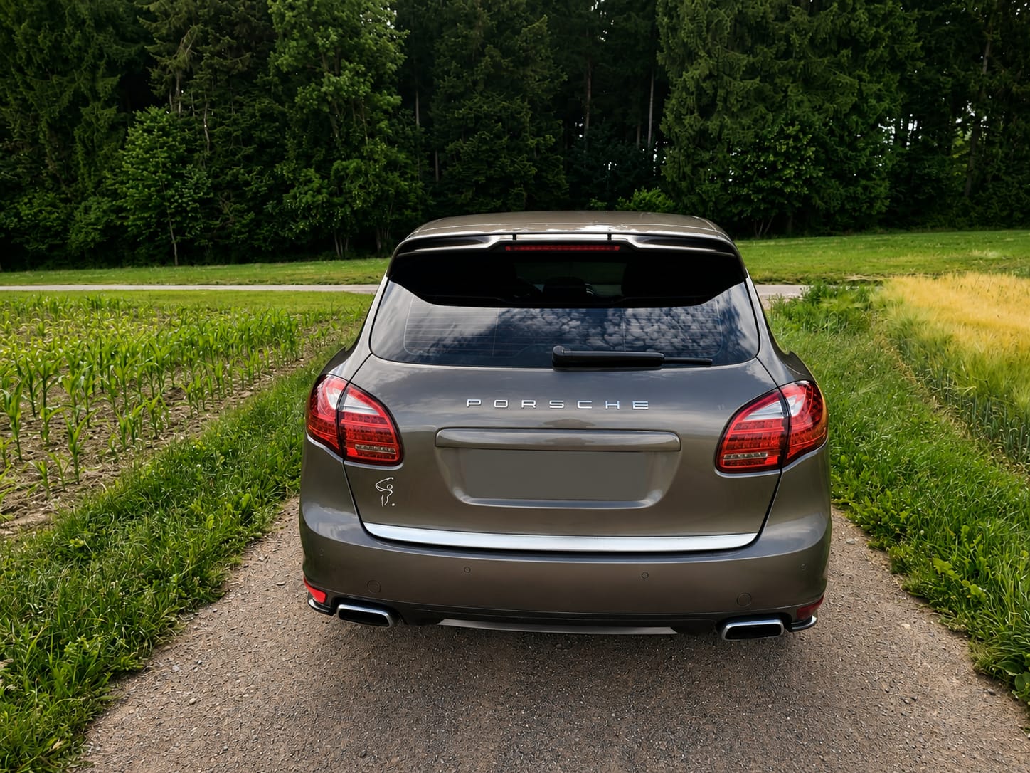 PORSCHE 3.0 V6 TDI TipT-image-4