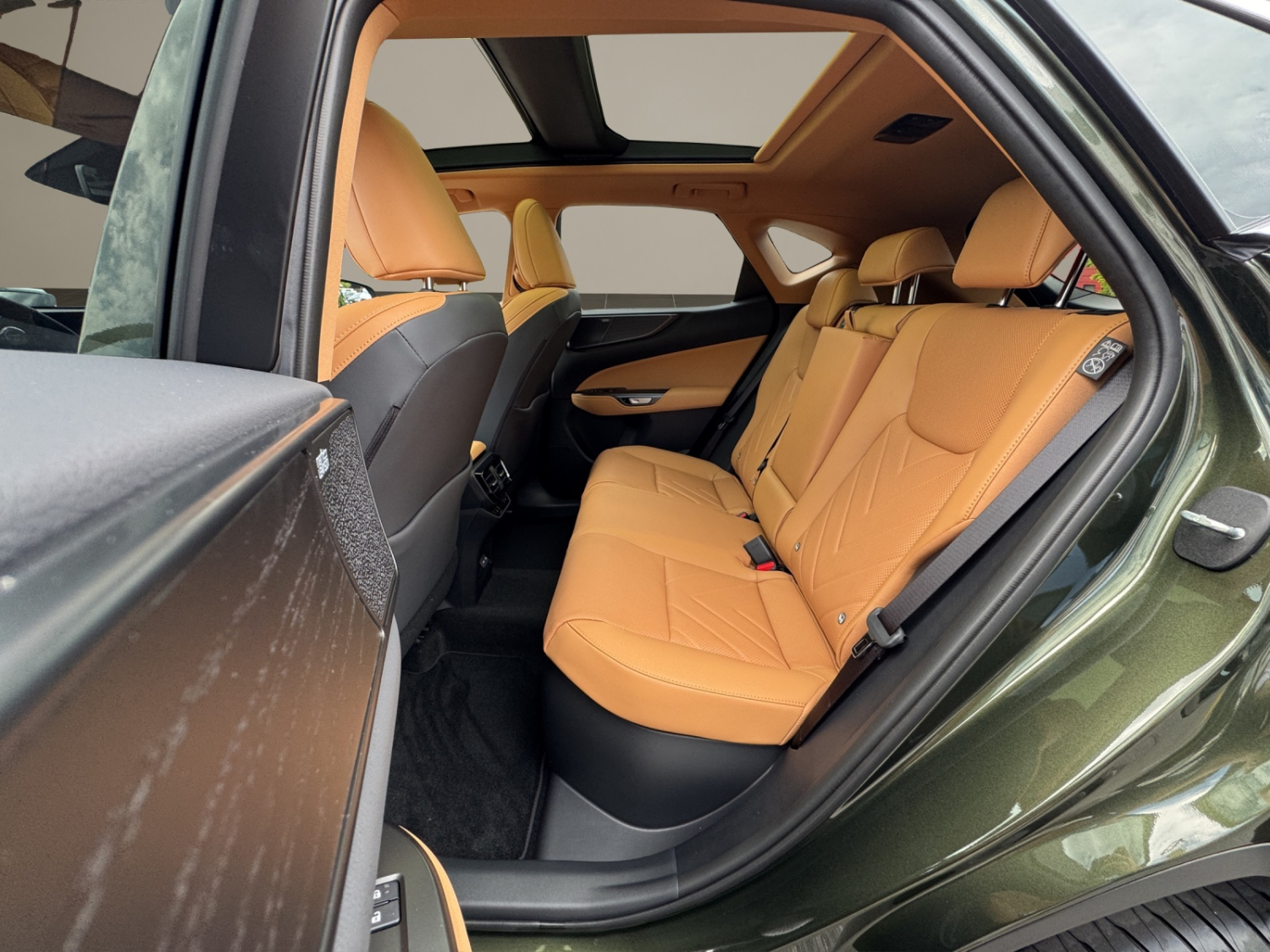 LEXUS NX 350h Excellence-image-17
