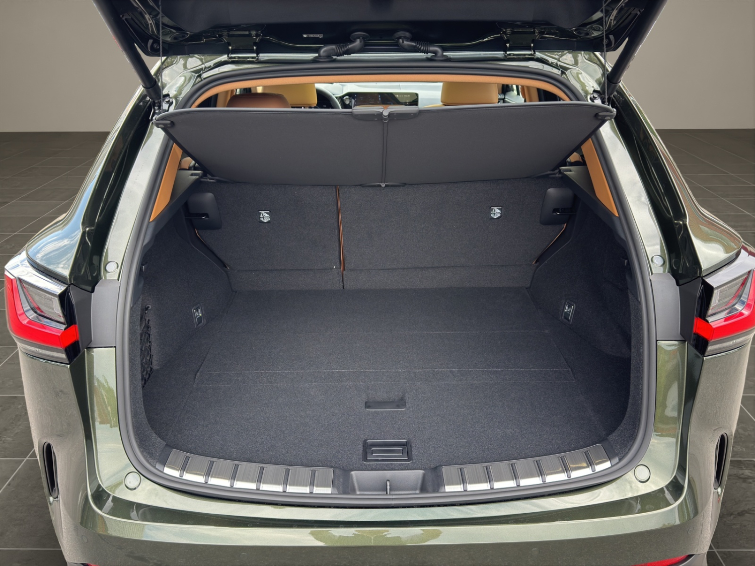 LEXUS NX 350h Excellence-image-19