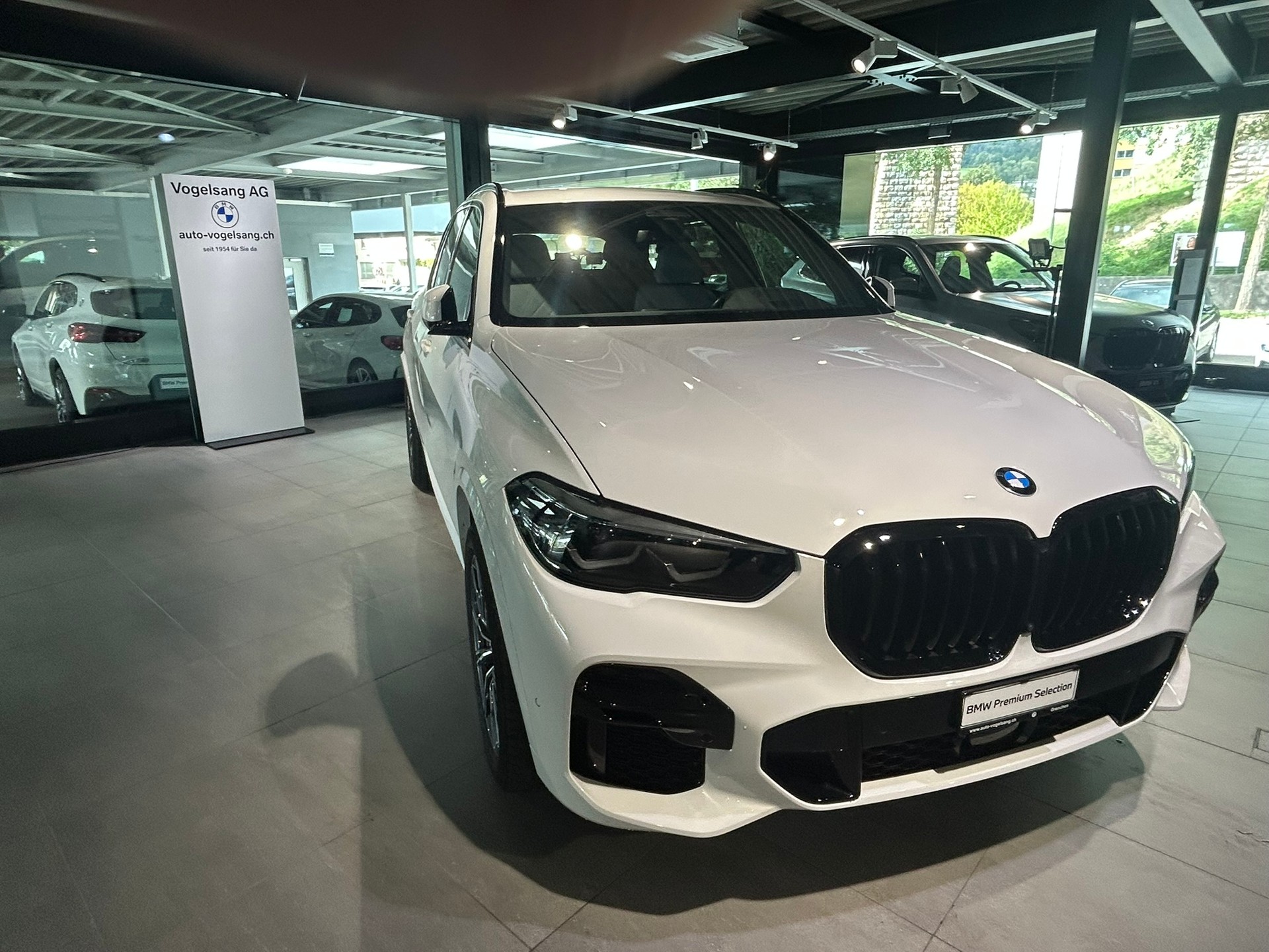BMW X5 xDrive 48V 30d M Sport Steptronic-image-2