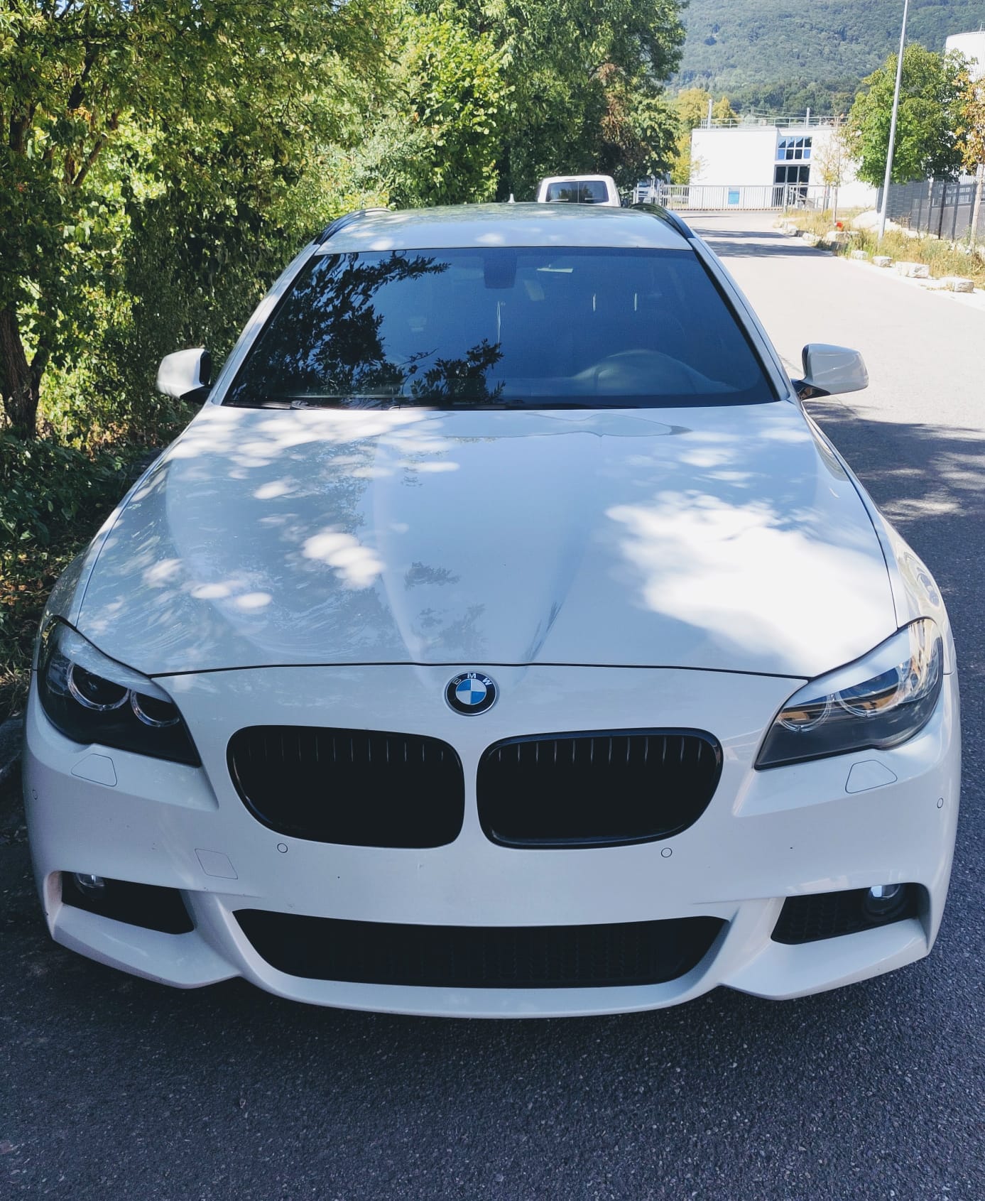 BMW 530d xDrive-image-4