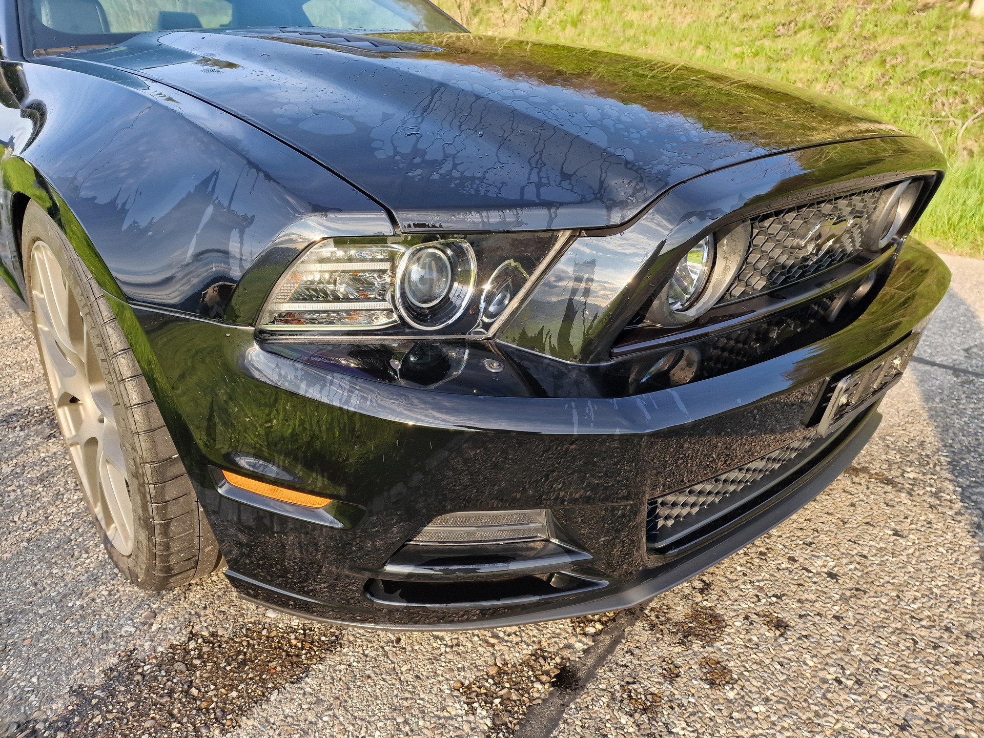 FORD Mustang GT Premium V8 420PS Automat-image-4