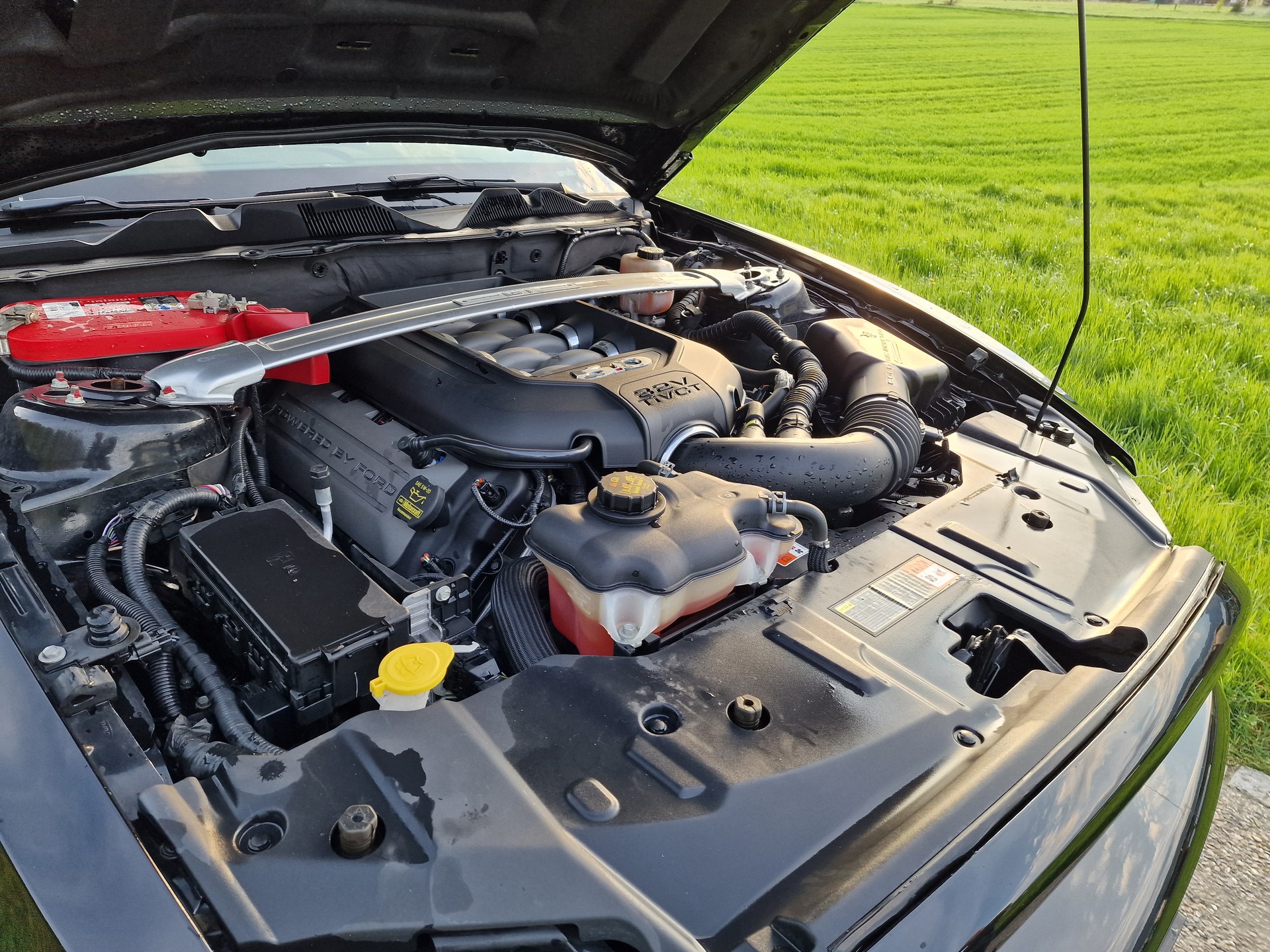 FORD Mustang GT Premium V8 420PS Automat-image-10