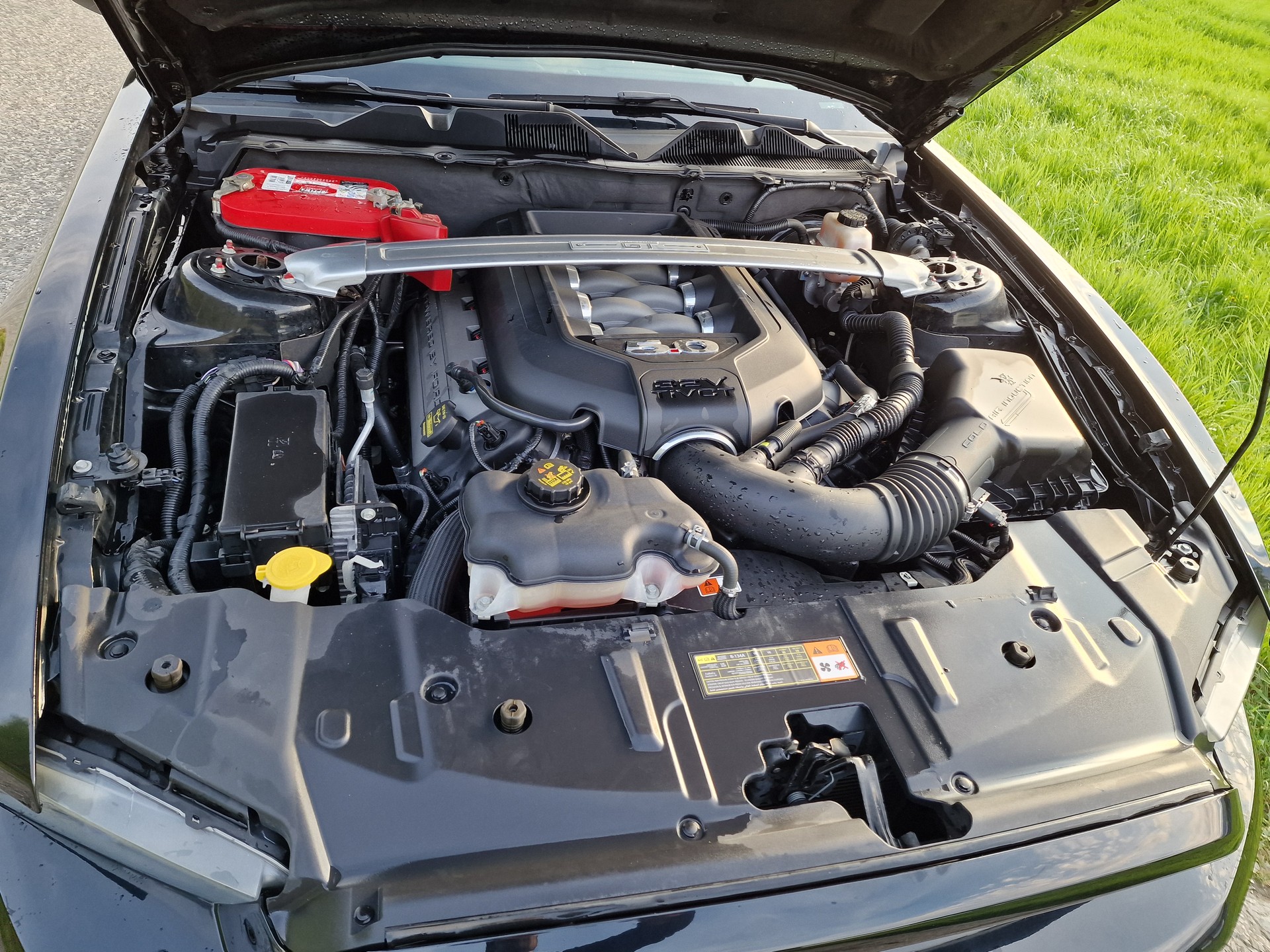 FORD Mustang GT Premium V8 420PS Automat-image-11