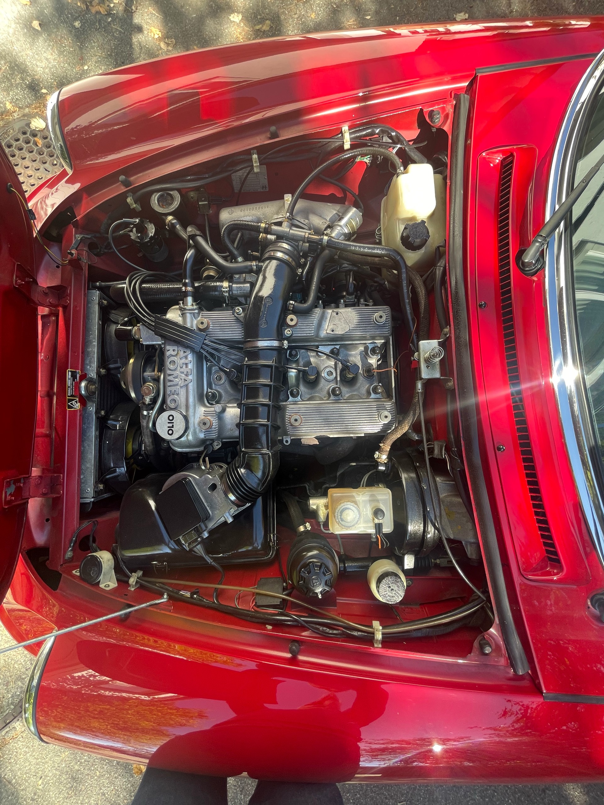 ALFA ROMEO 2.0 Q.Verde-image-5