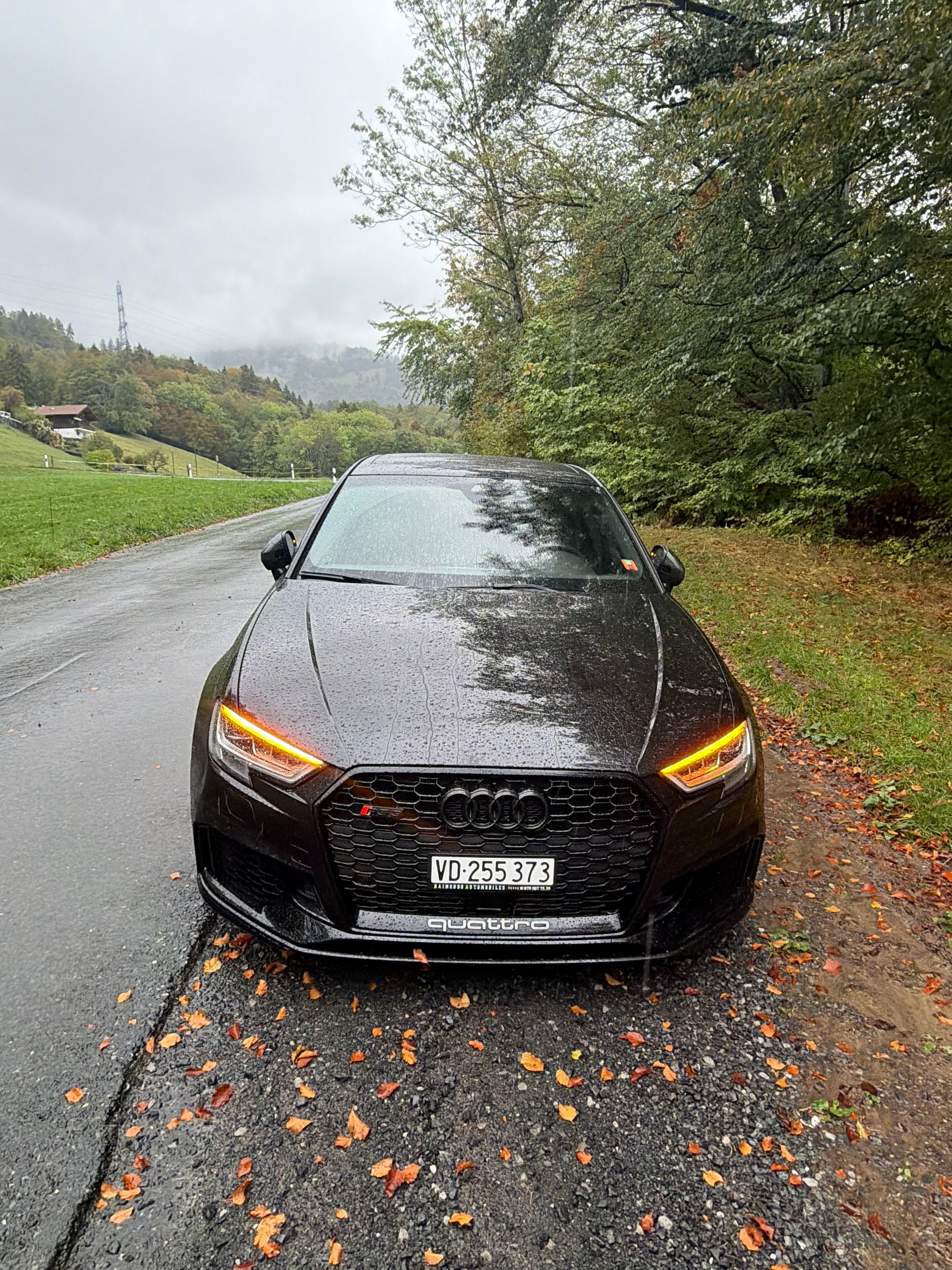 AUDI RS3-image-0