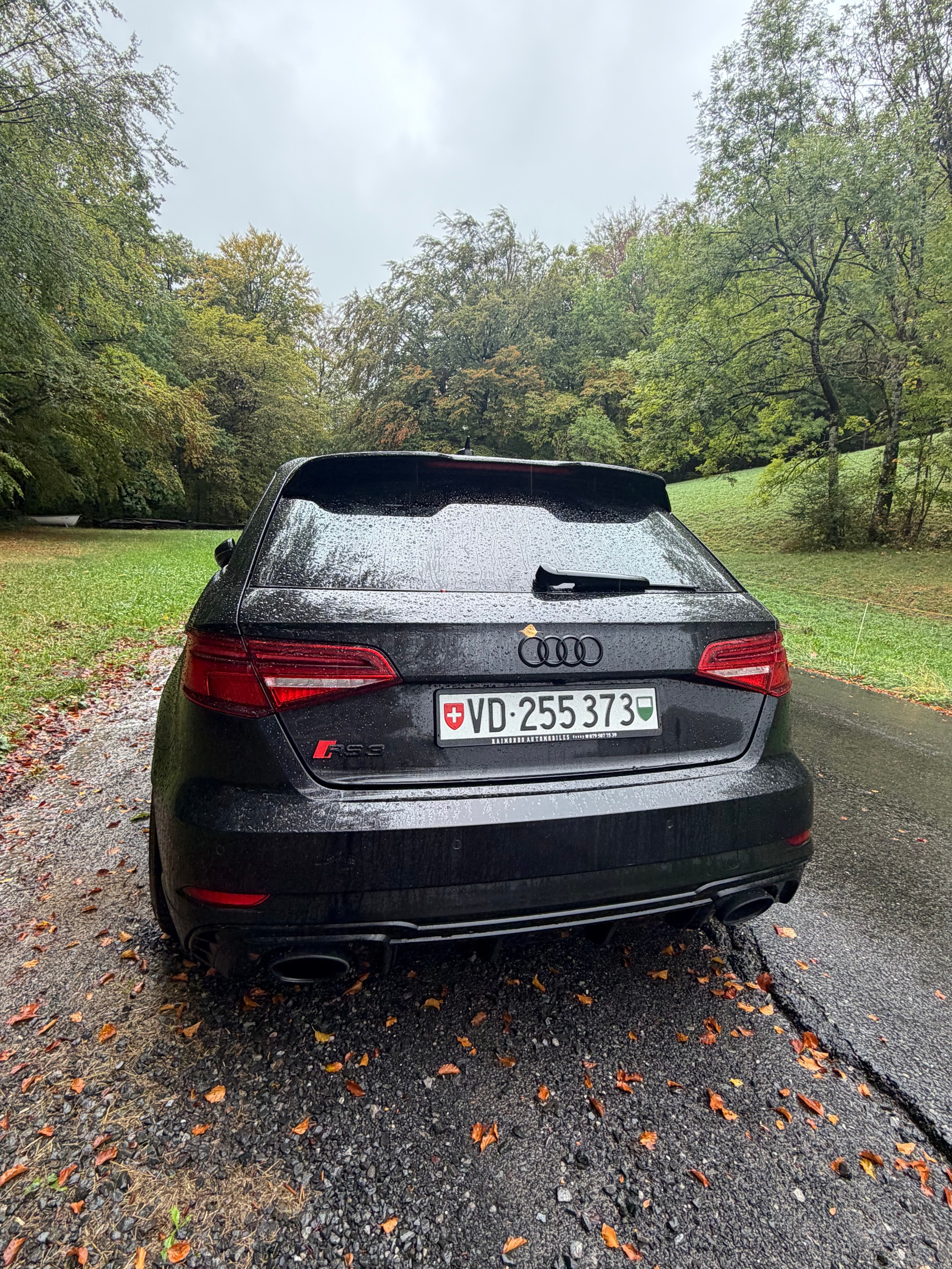 AUDI RS3-image-1