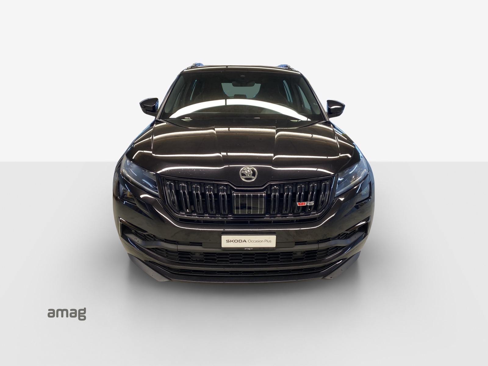 SKODA Kodiaq 2.0 Bi-TDI SCR RS 4x4 DSG-image-6