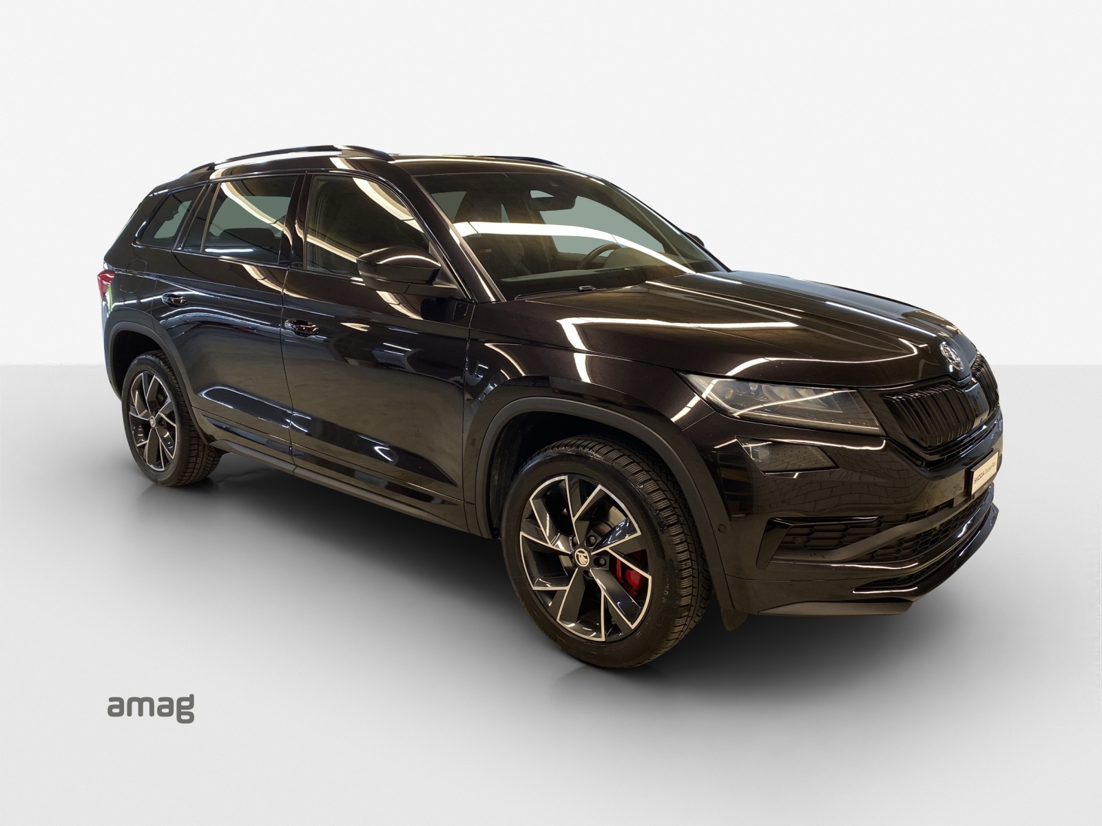 SKODA Kodiaq 2.0 Bi-TDI SCR RS 4x4 DSG-image-5
