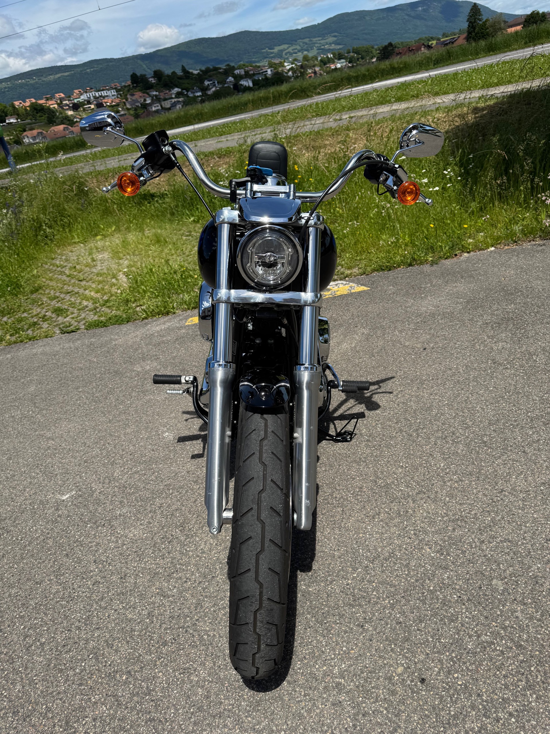 HARLEY-DAVIDSON FXLR Low Rider 107 ABS-showroom-element-3