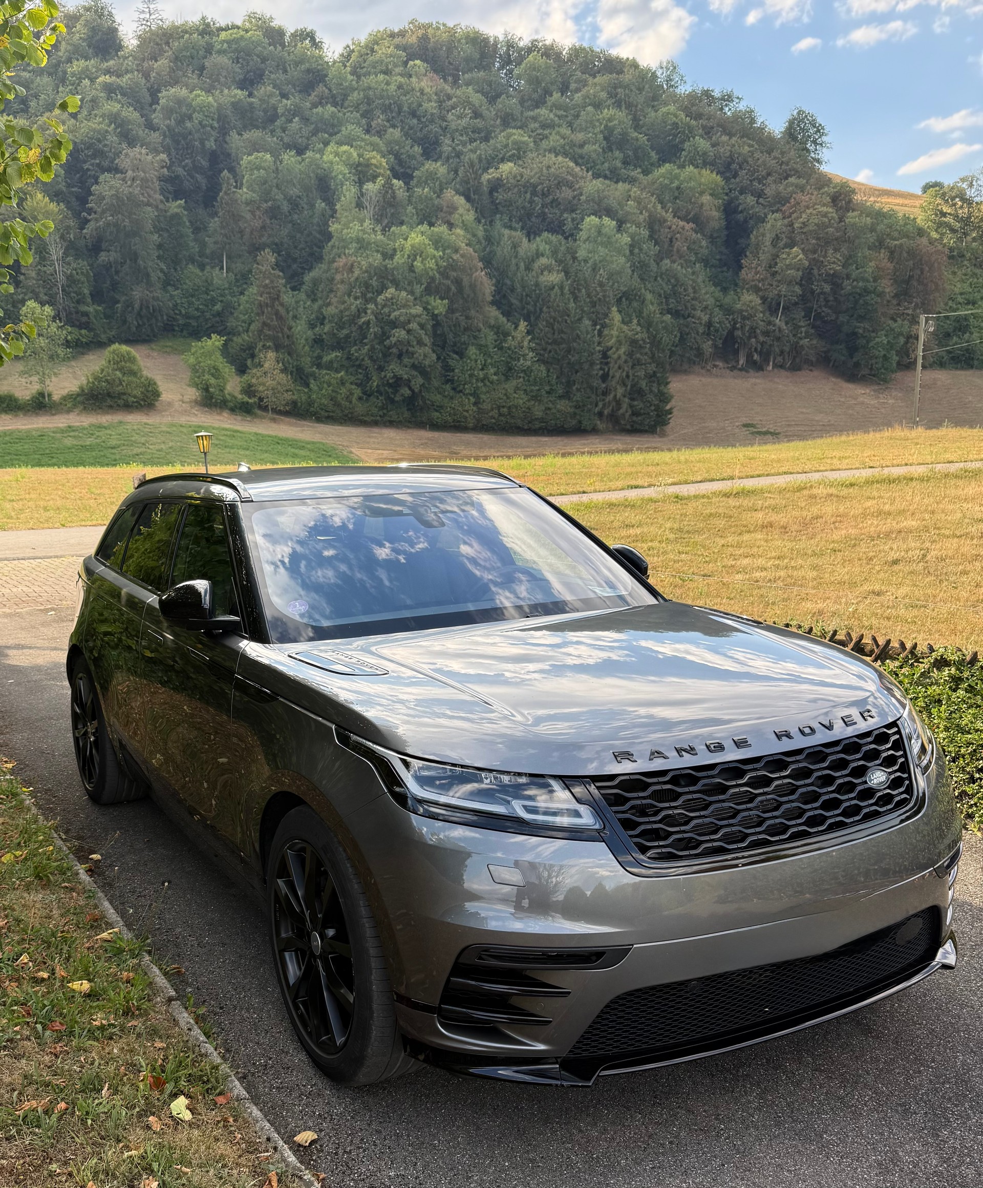LAND ROVER R-Dynamic P300 S-image-2