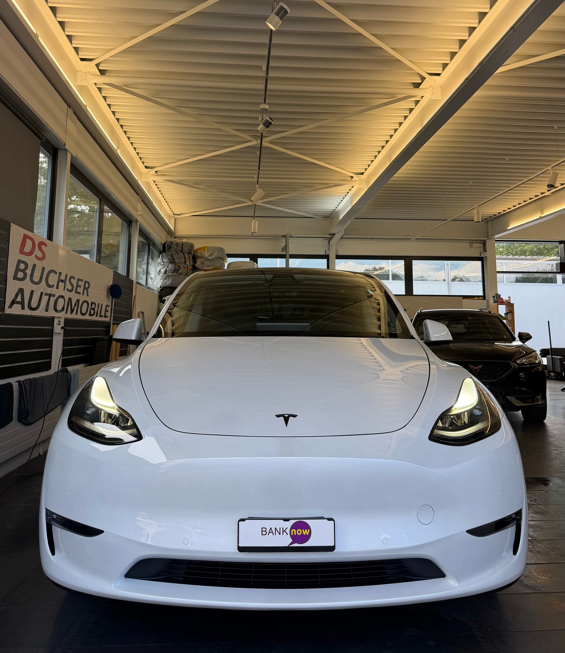 TESLA Model Y Long Range D-image-2