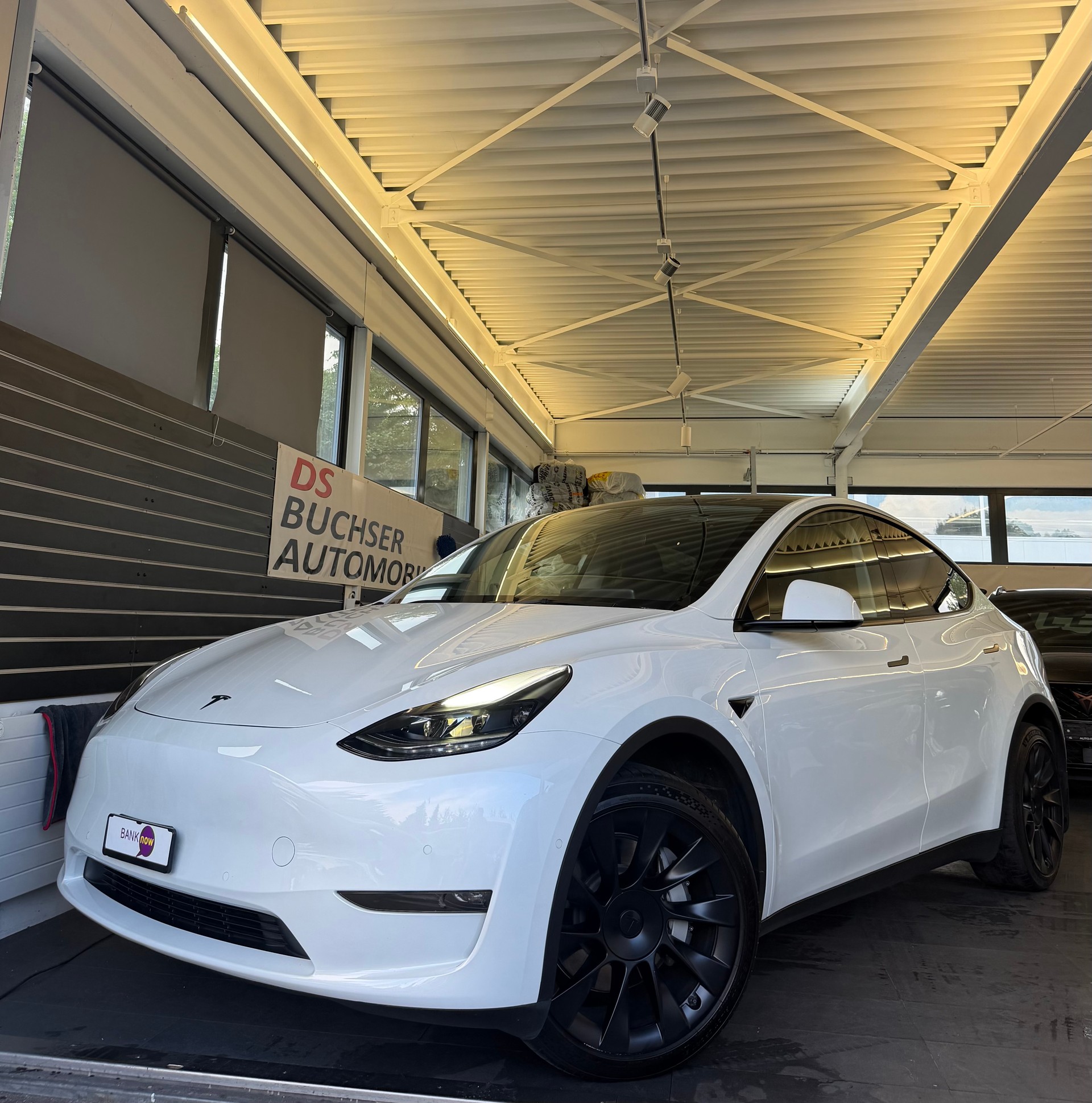 TESLA Model Y Long Range D-image-0