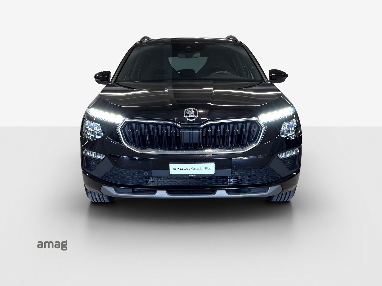 SKODA Kamiq 1.0 TSI Selection DSG-image-6