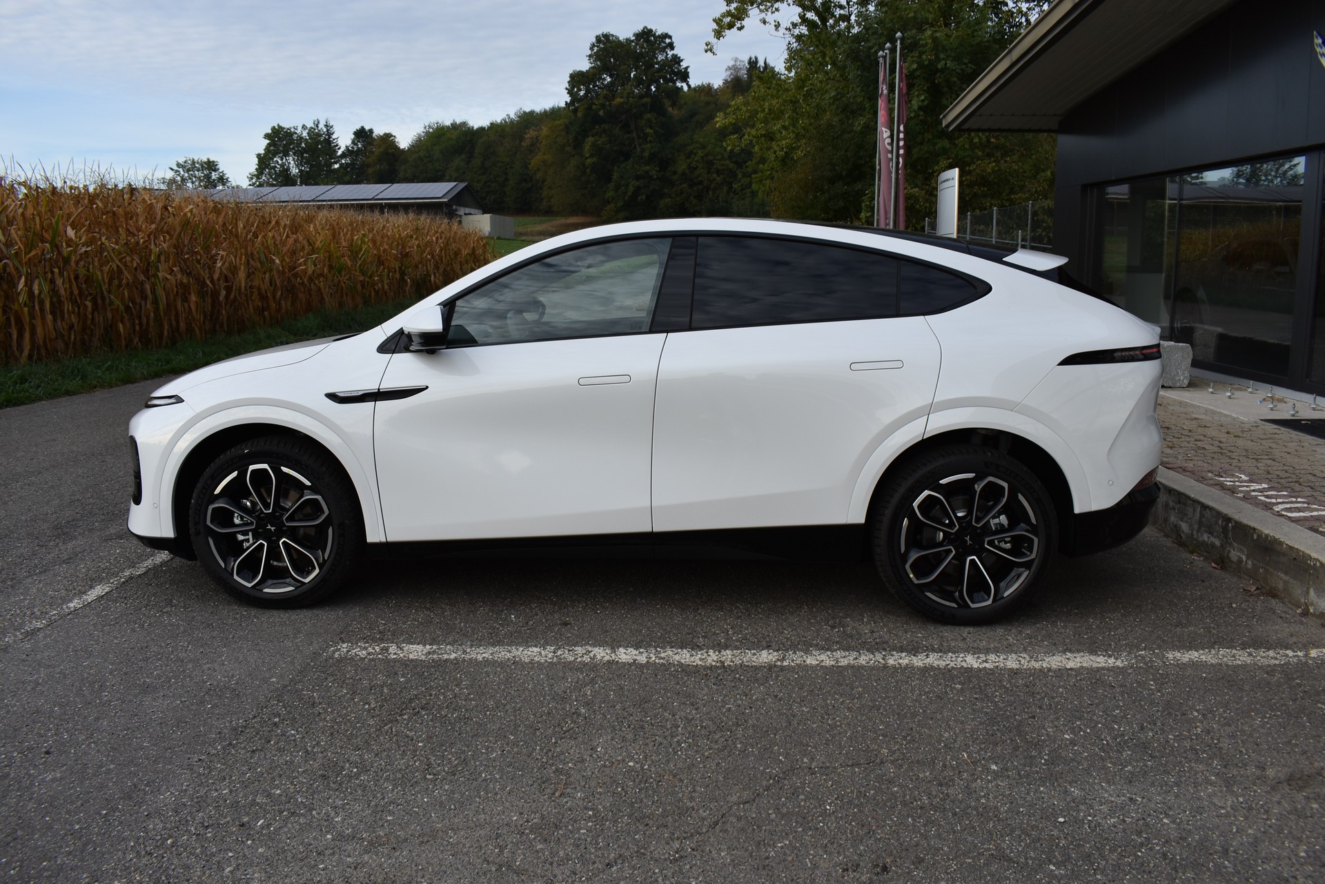 XPENG G6 80kWh Performance AWD-image-6