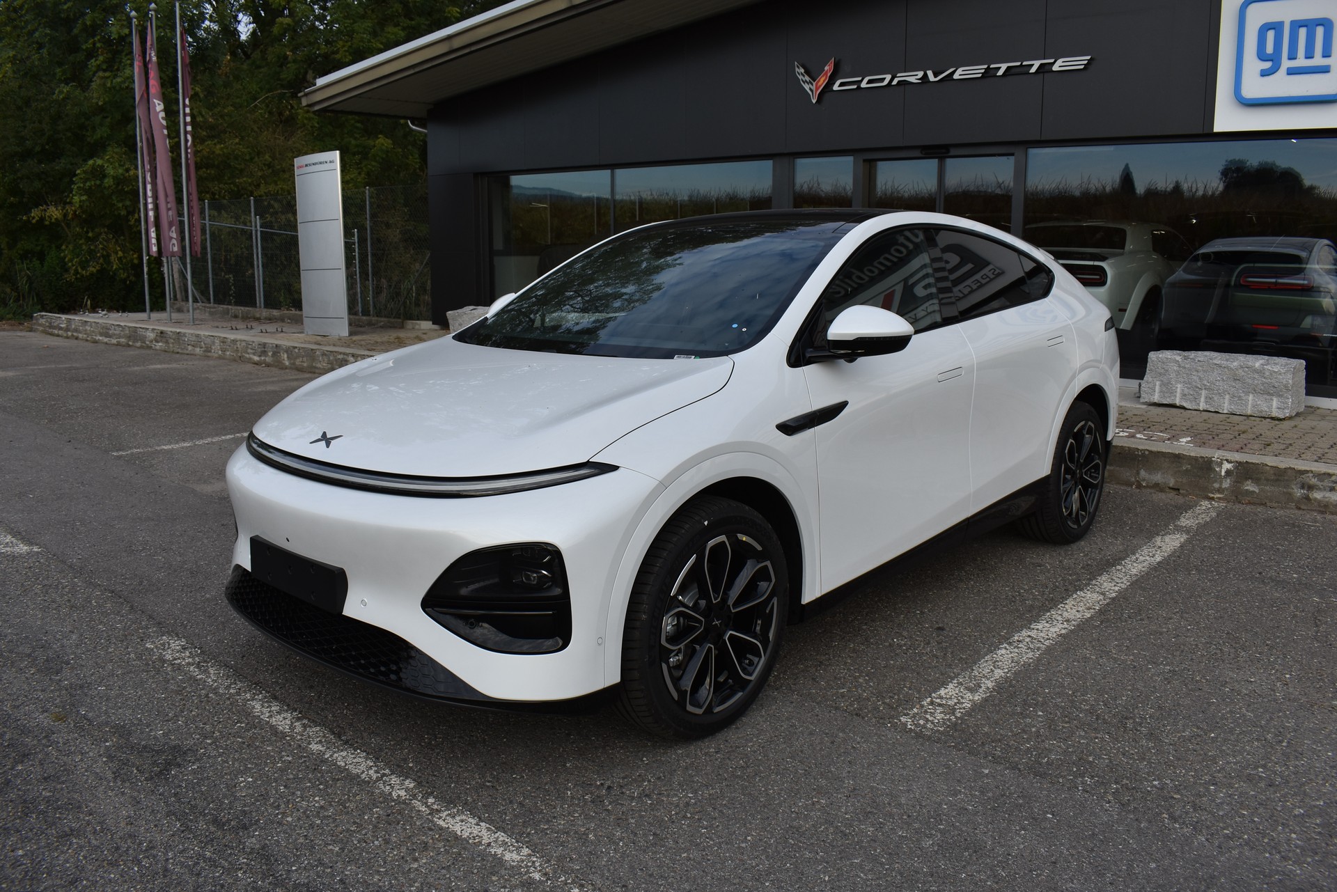 XPENG G6 80kWh Performance AWD-image-7