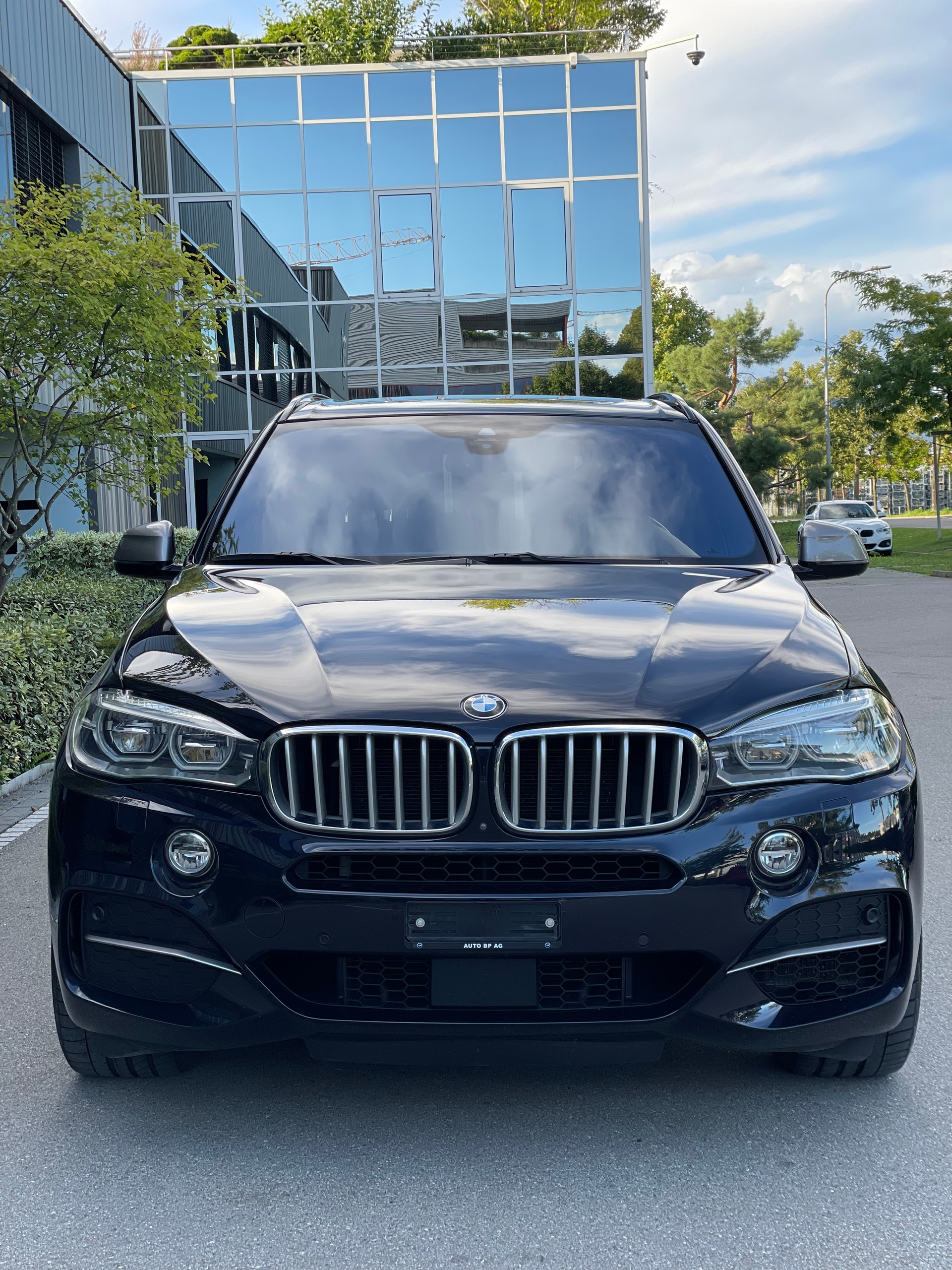 BMW X5 xDrive M50d Steptronic-image-2