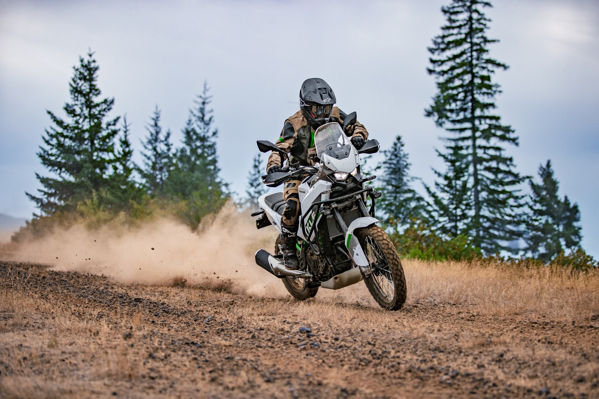 KAWASAKI KLE 500 SE MY26-image-8