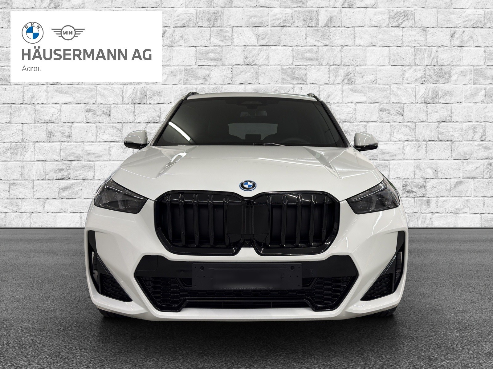 BMW X1 xDrive 30e M Sport Pro-image-1