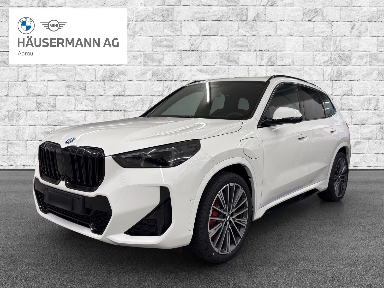 BMW X1 xDrive 30e M Sport Pro-image-0