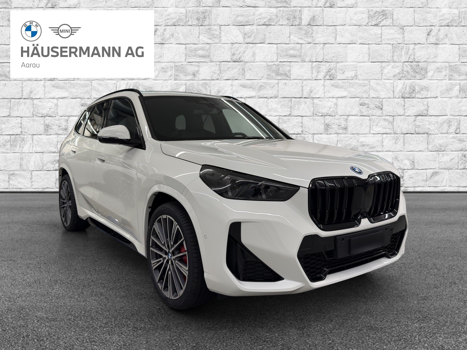 BMW X1 xDrive 30e M Sport Pro-image-2