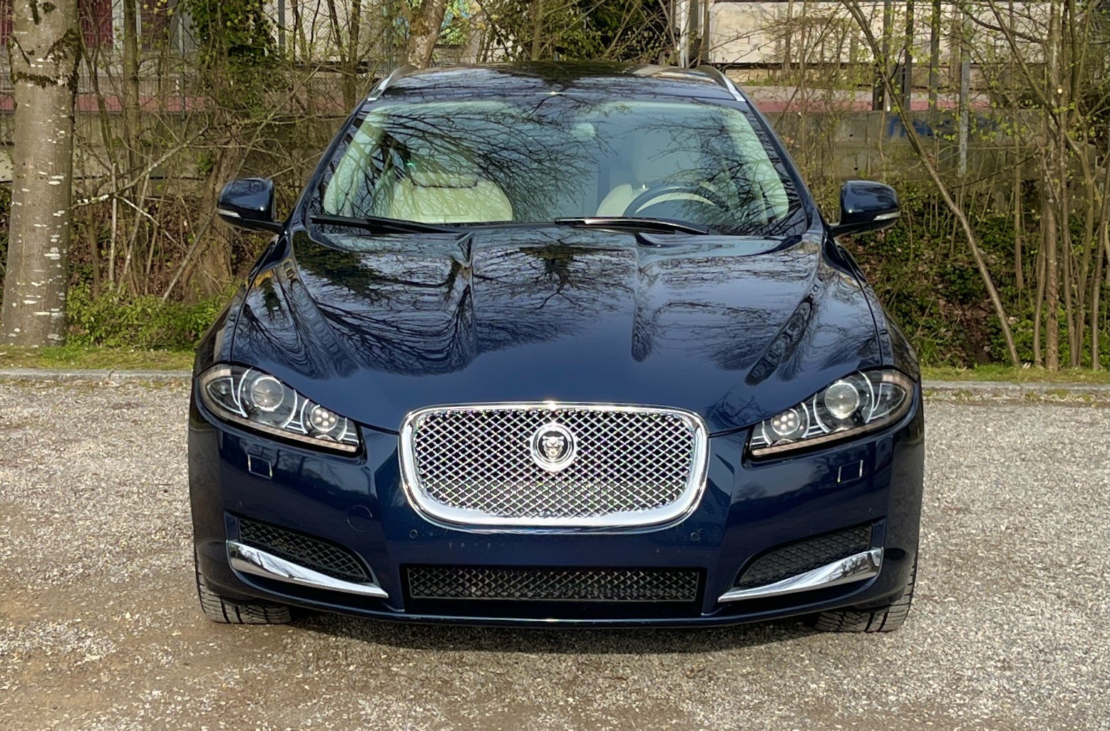 JAGUAR XF Sportbrake 3.0d S V6 Portfolio-image-2