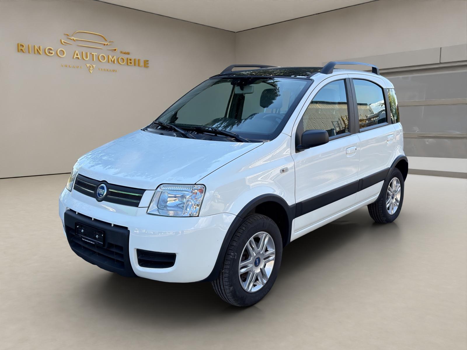 FIAT Panda 1.2 4x4 (Trekking)-image-1