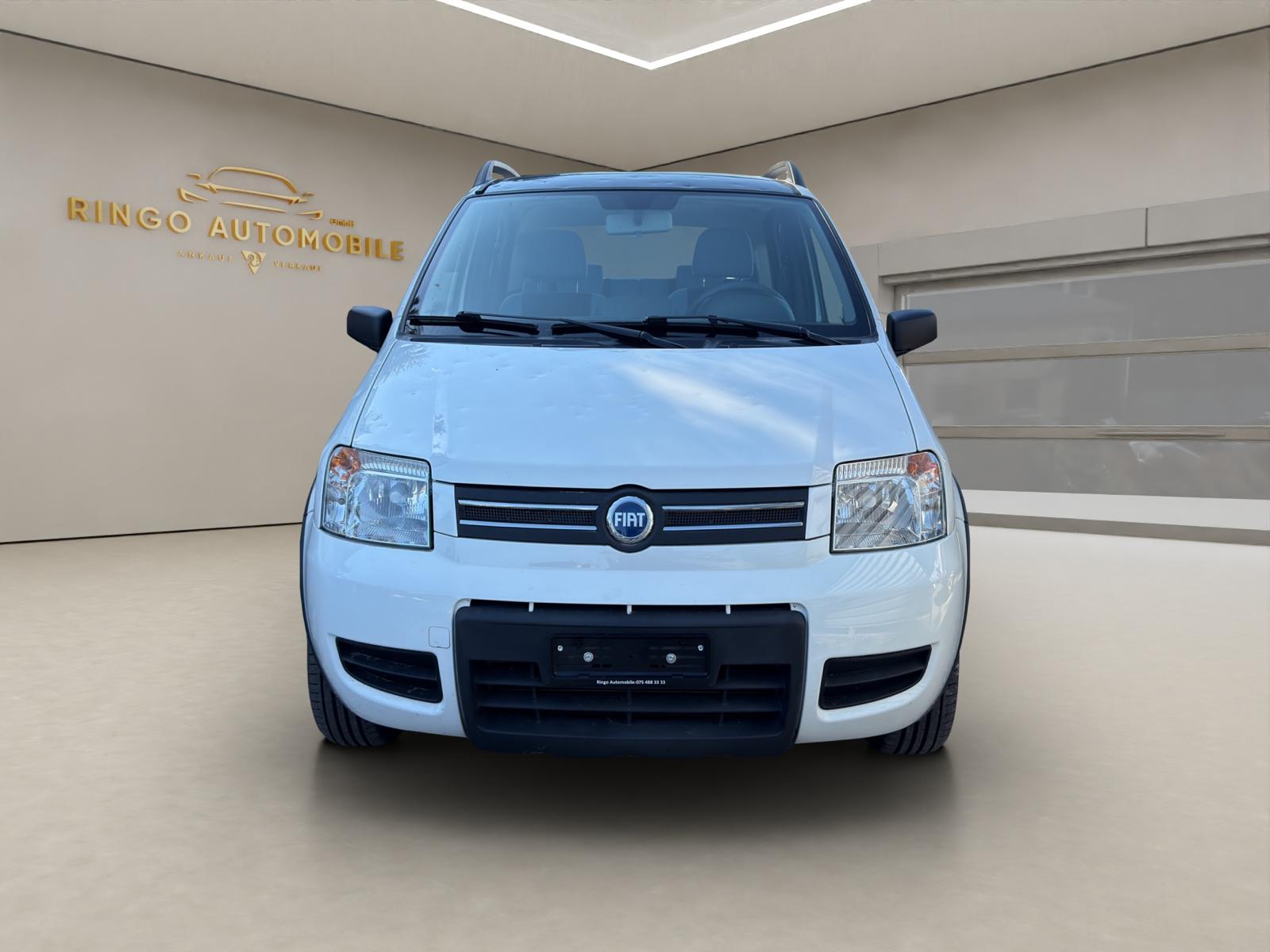 FIAT Panda 1.2 4x4 (Trekking)-image-3
