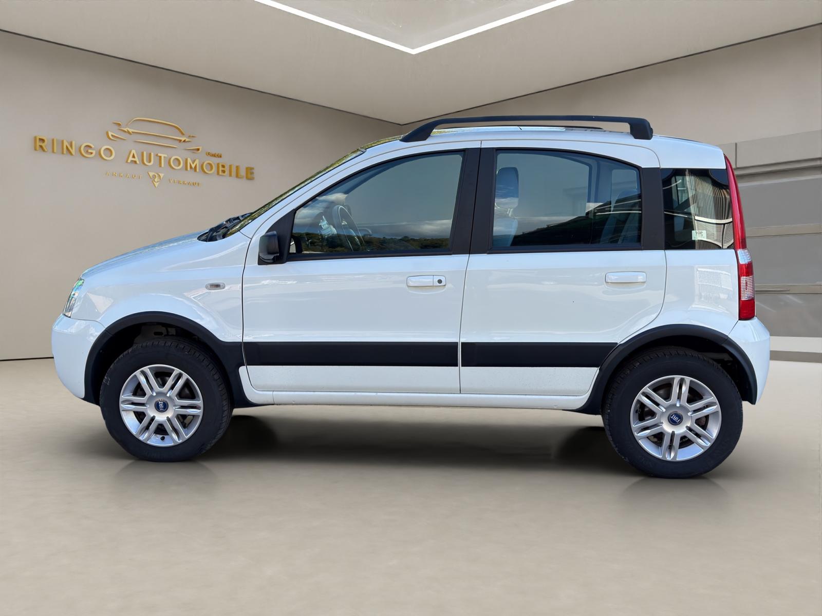 FIAT Panda 1.2 4x4 (Trekking)-image-2