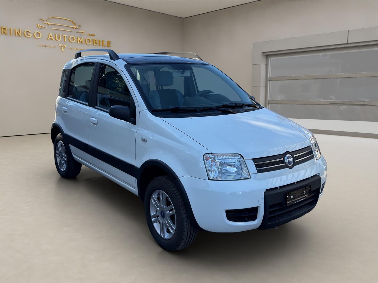 FIAT Panda 1.2 4x4 (Trekking)-image-0