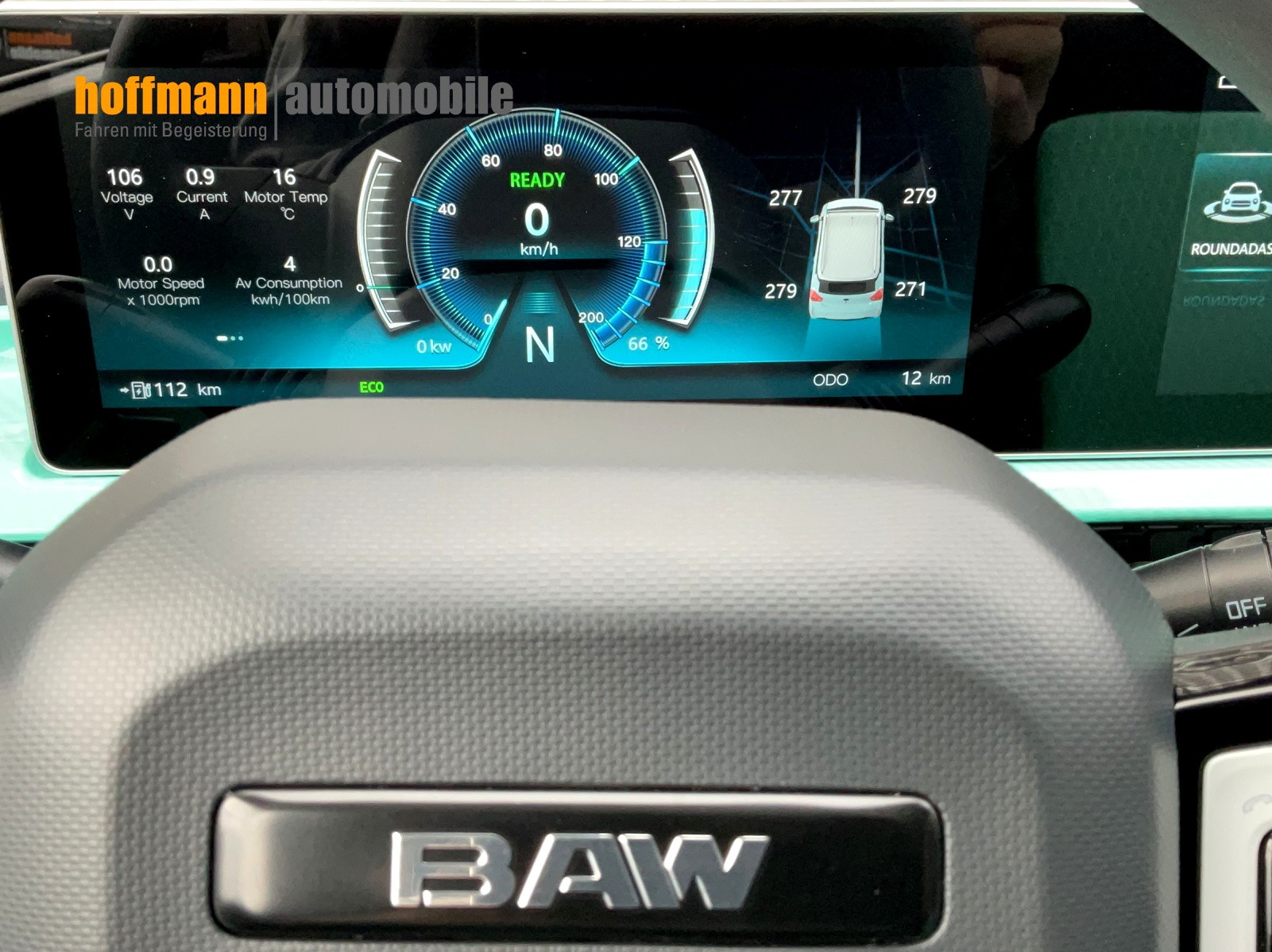 BAW Pony-image-7