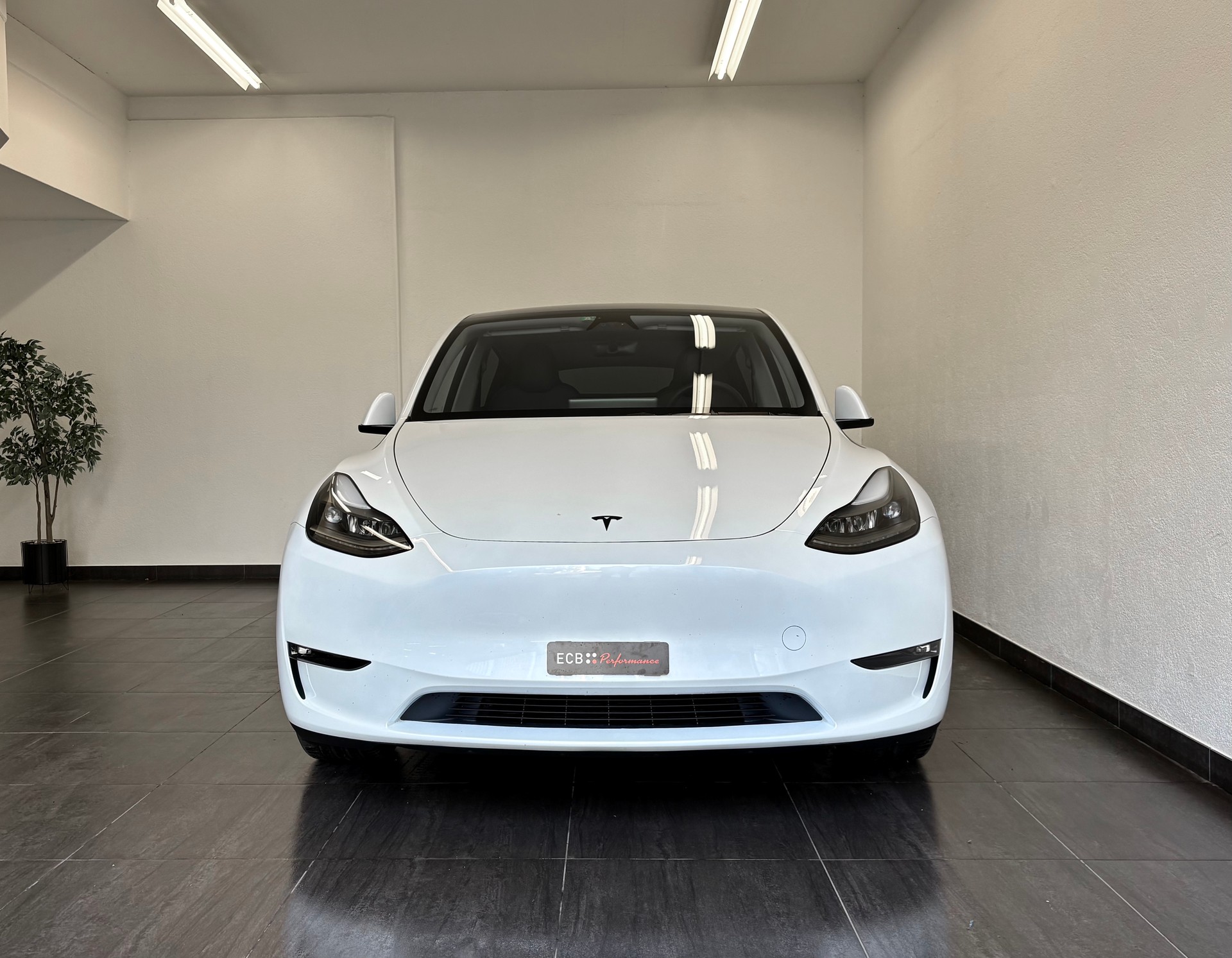 TESLA Model Y Performance-showroom-element-2